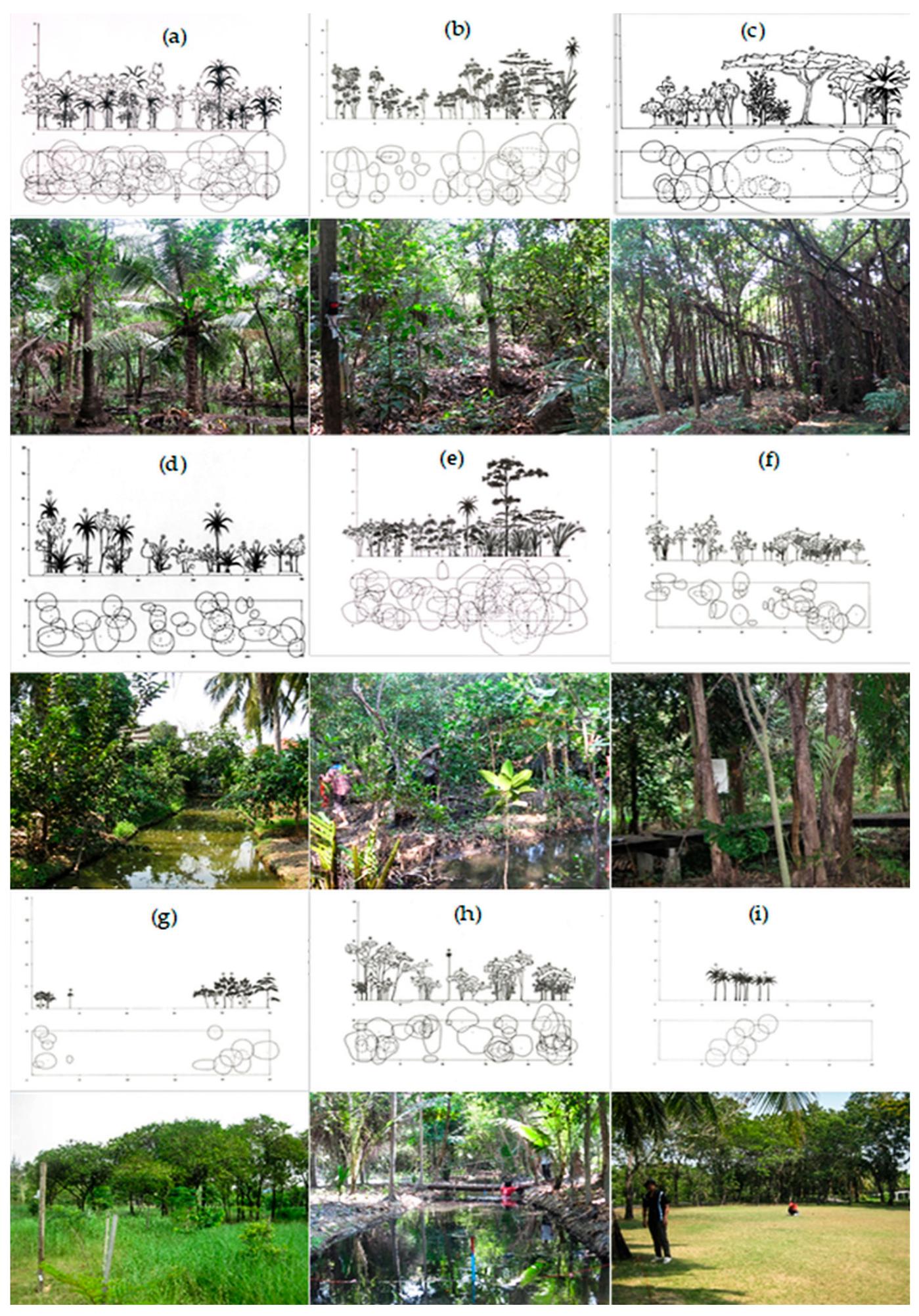 Forests 09 00036 g003