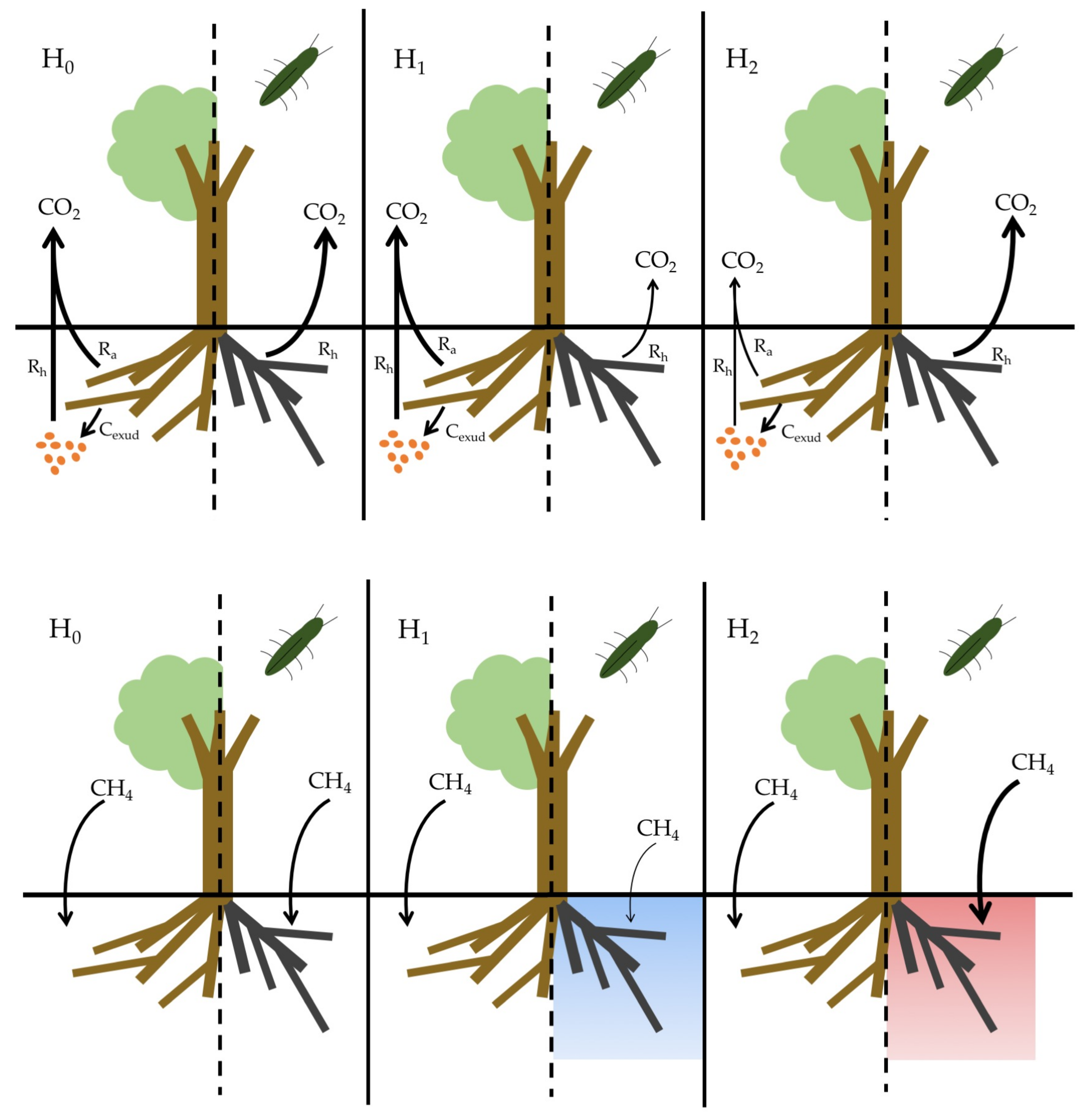 Forests 09 00037 g001