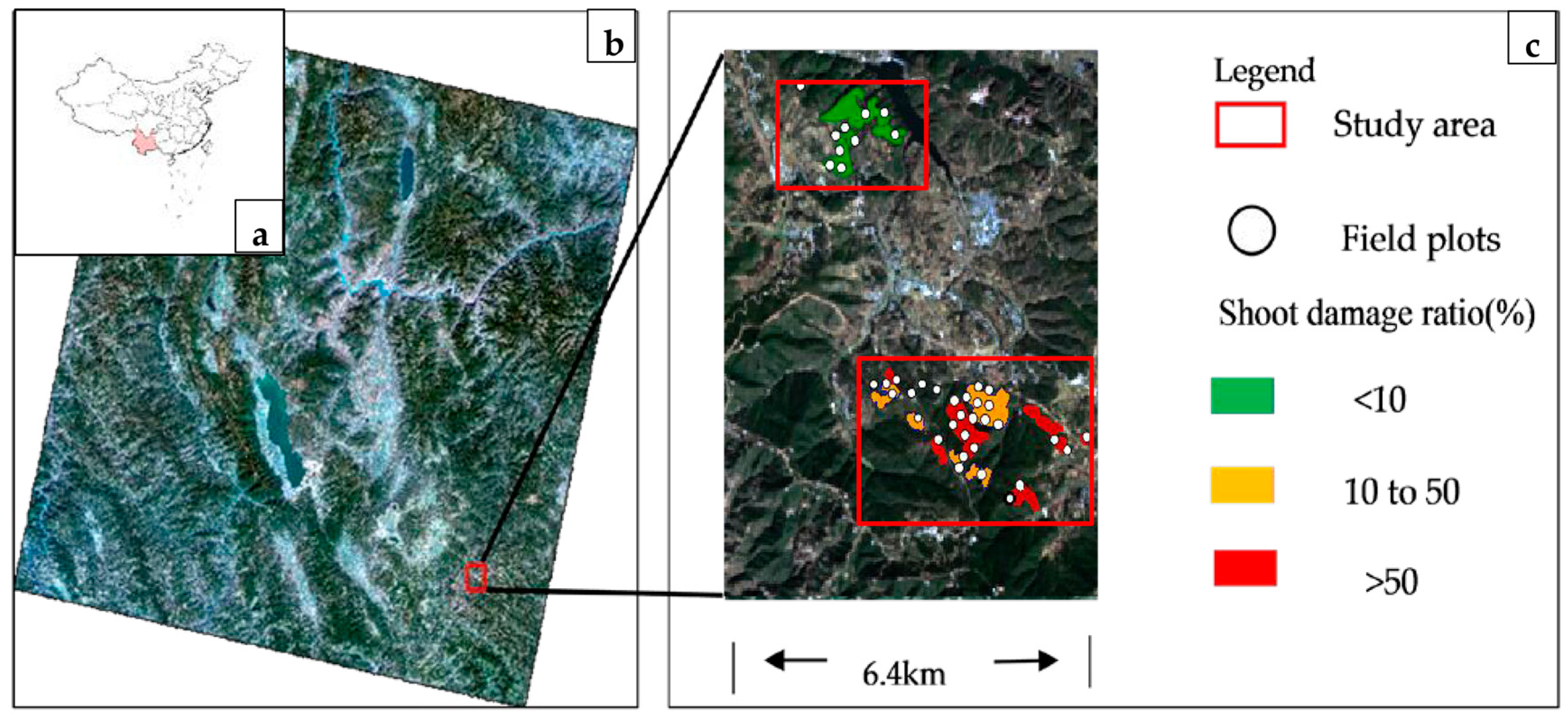 Forests 09 00039 g001