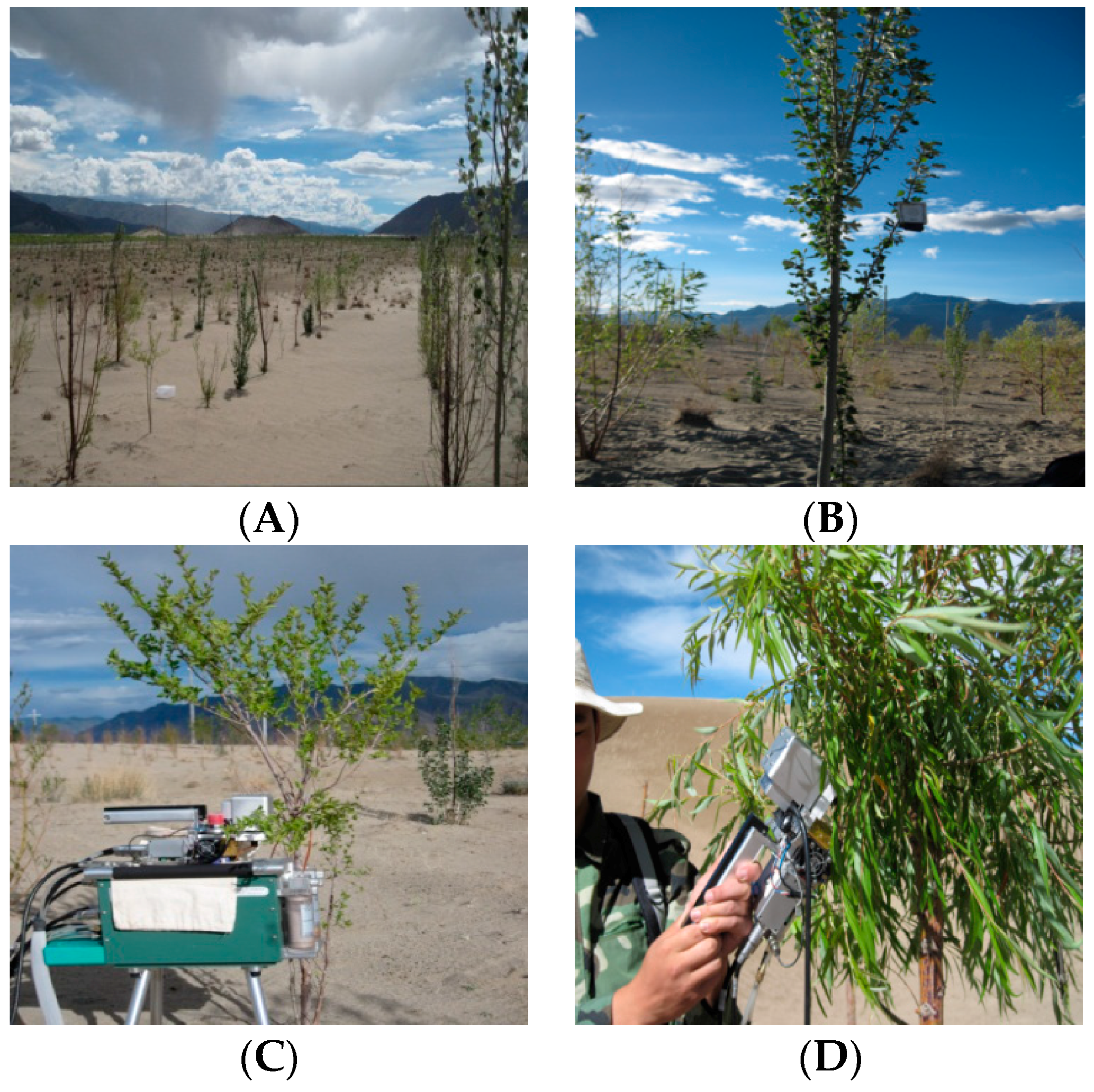 Forests 09 00048 g001 550