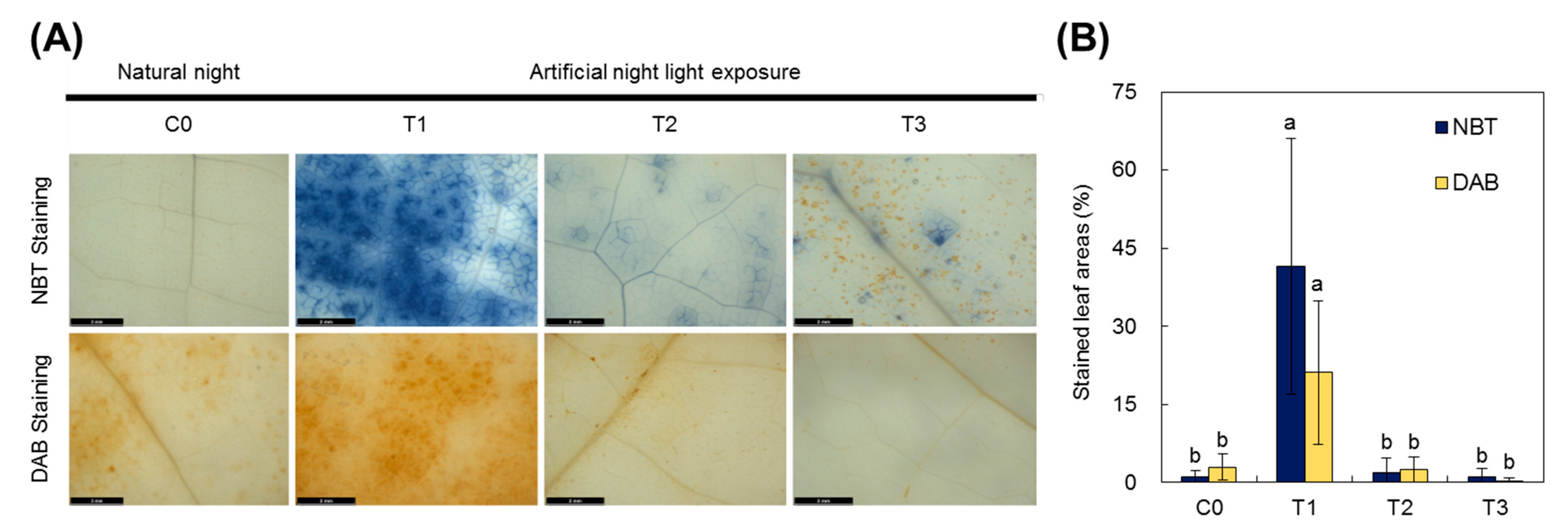 Forests 09 00074 g007 Forests 09 00074 g007