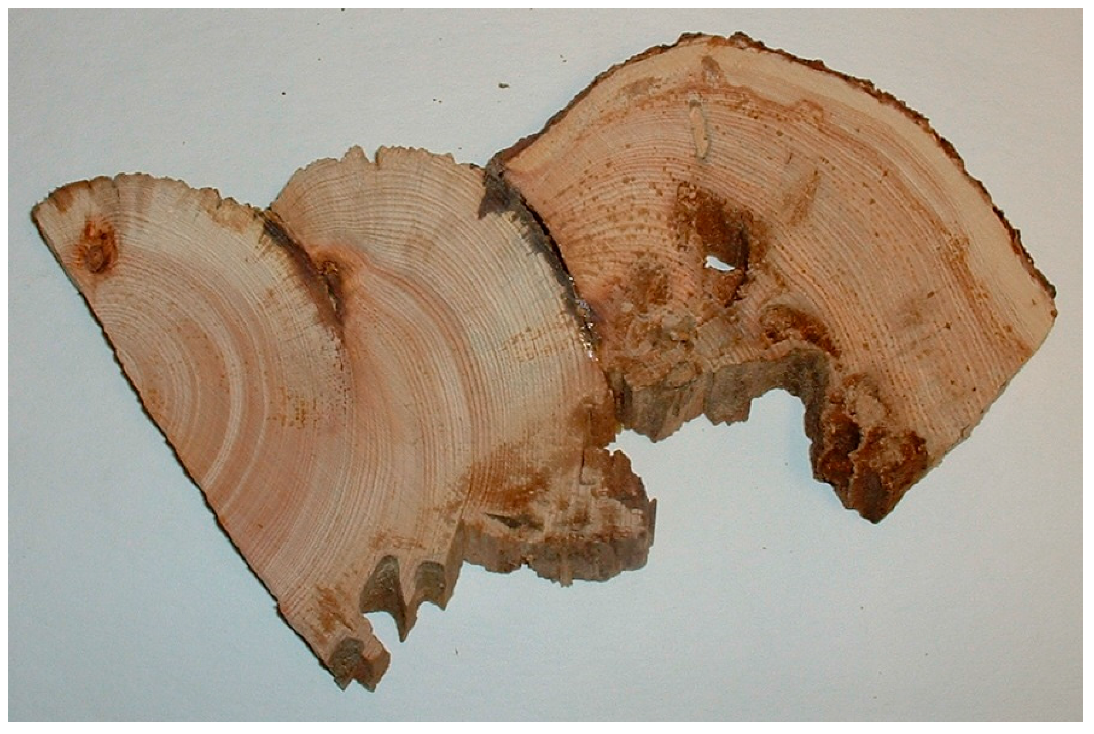 Forests 09 00078 g002