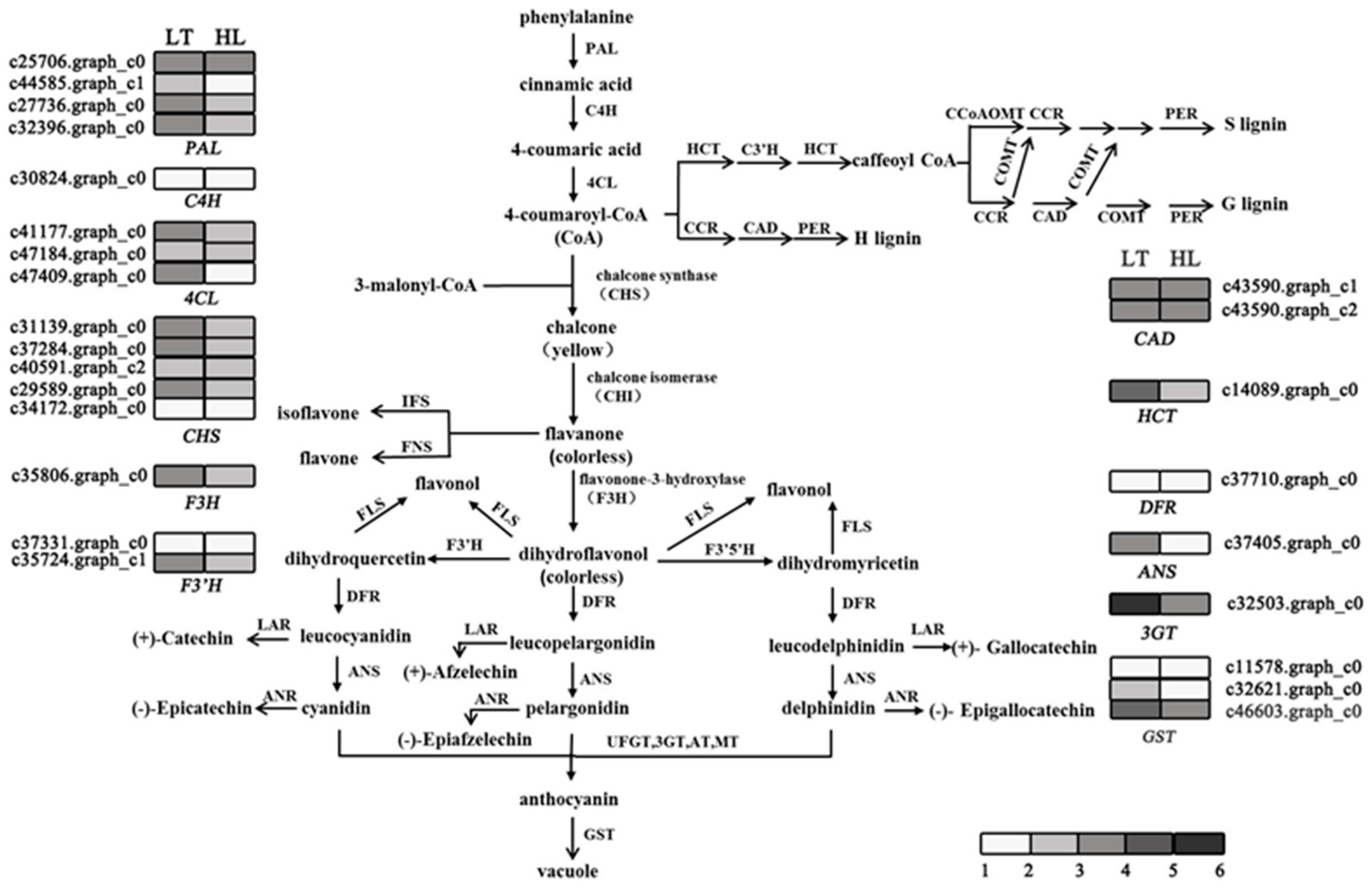 Forests 09 00087 g004 Forests 09 00087 g004