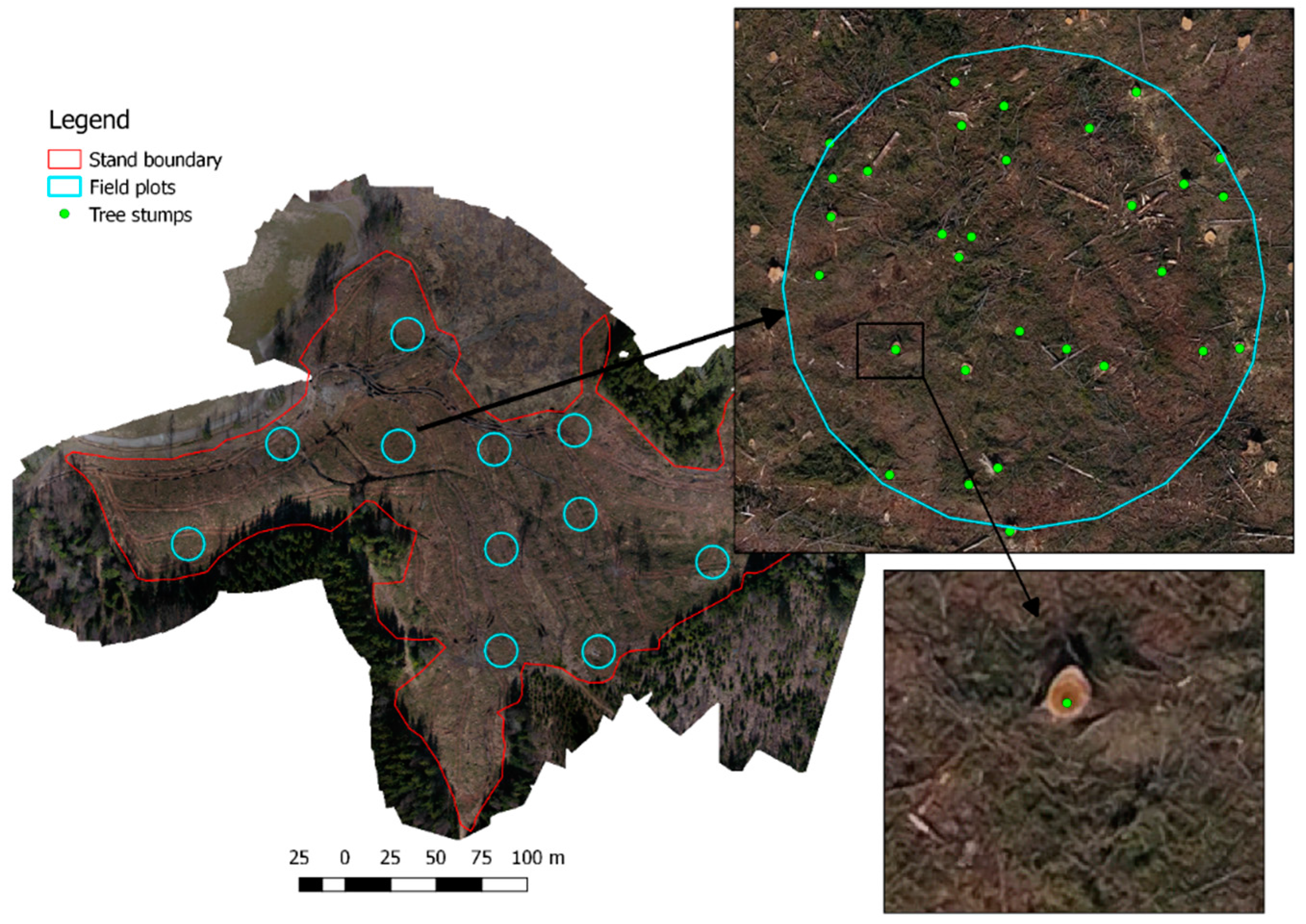 Forests 09 00102 g001 Forests 09 00102 g001