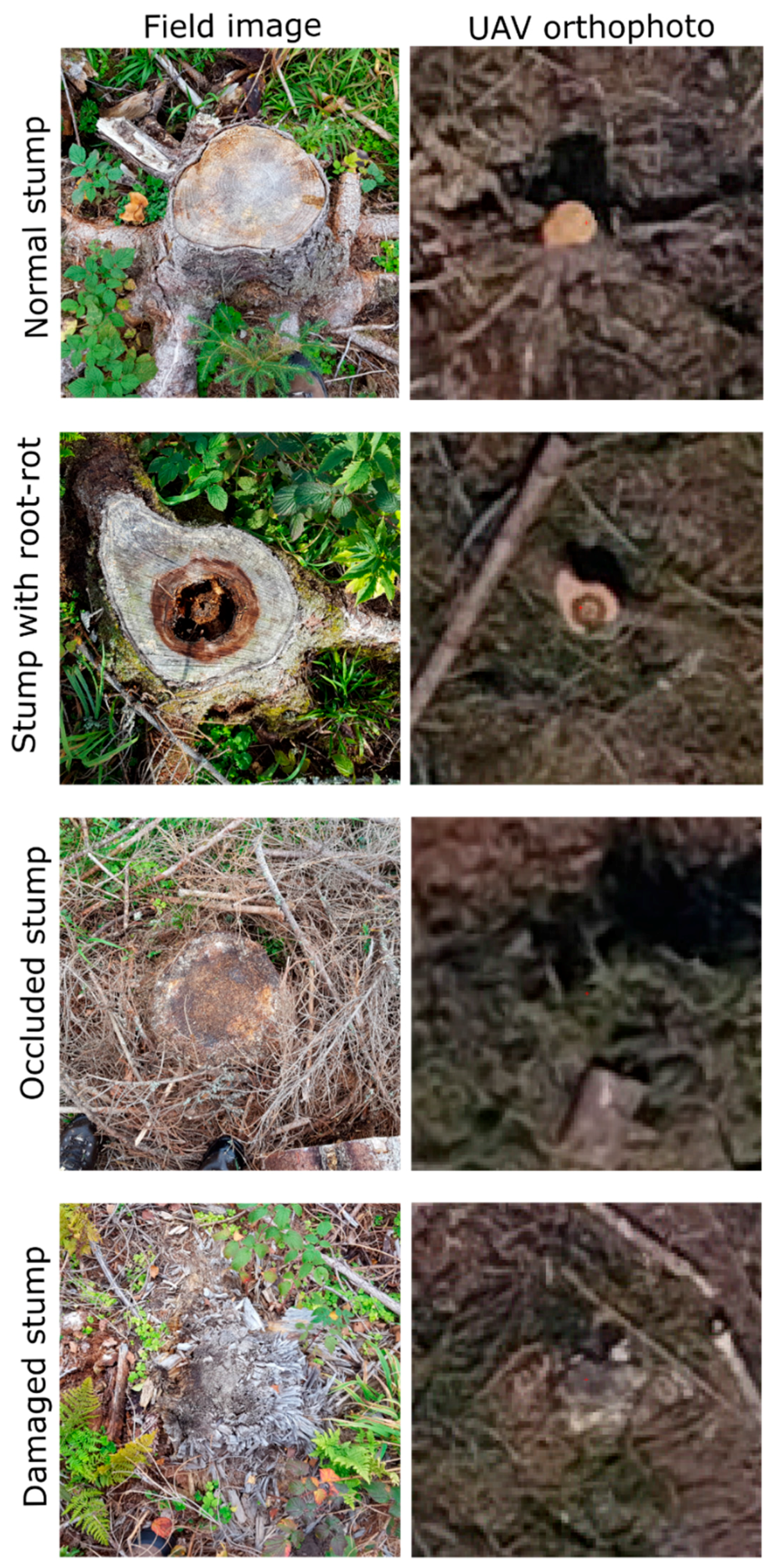 Forests 09 00102 g003 Forests 09 00102 g003