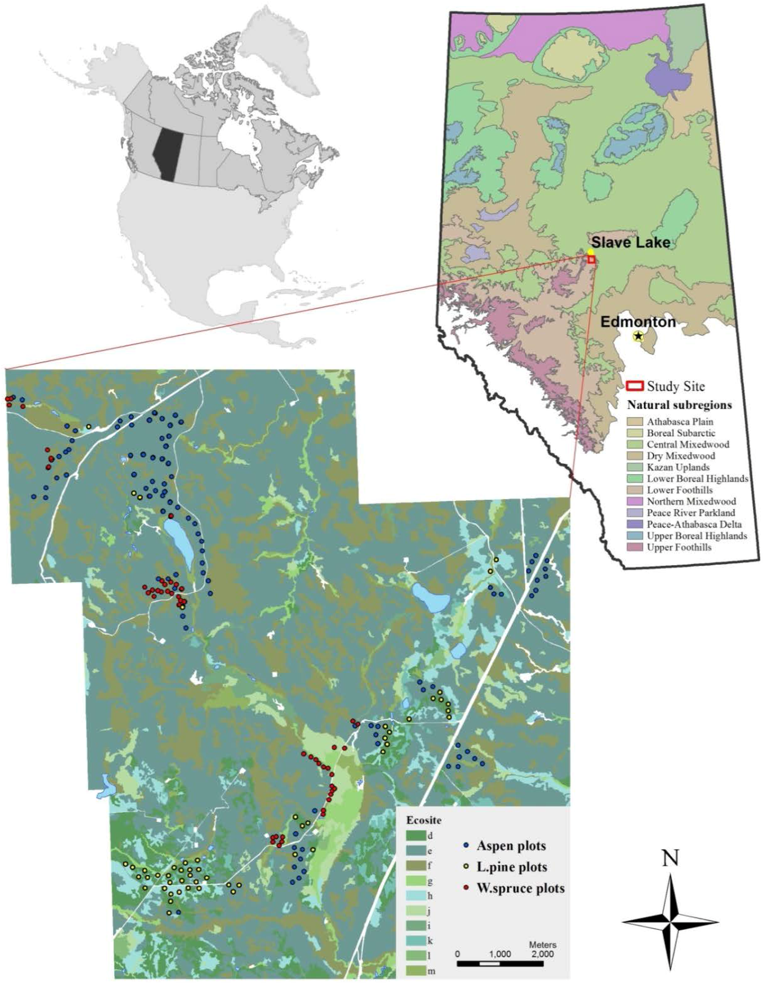 Forests 09 00113 g001 Forests 09 00113 g001