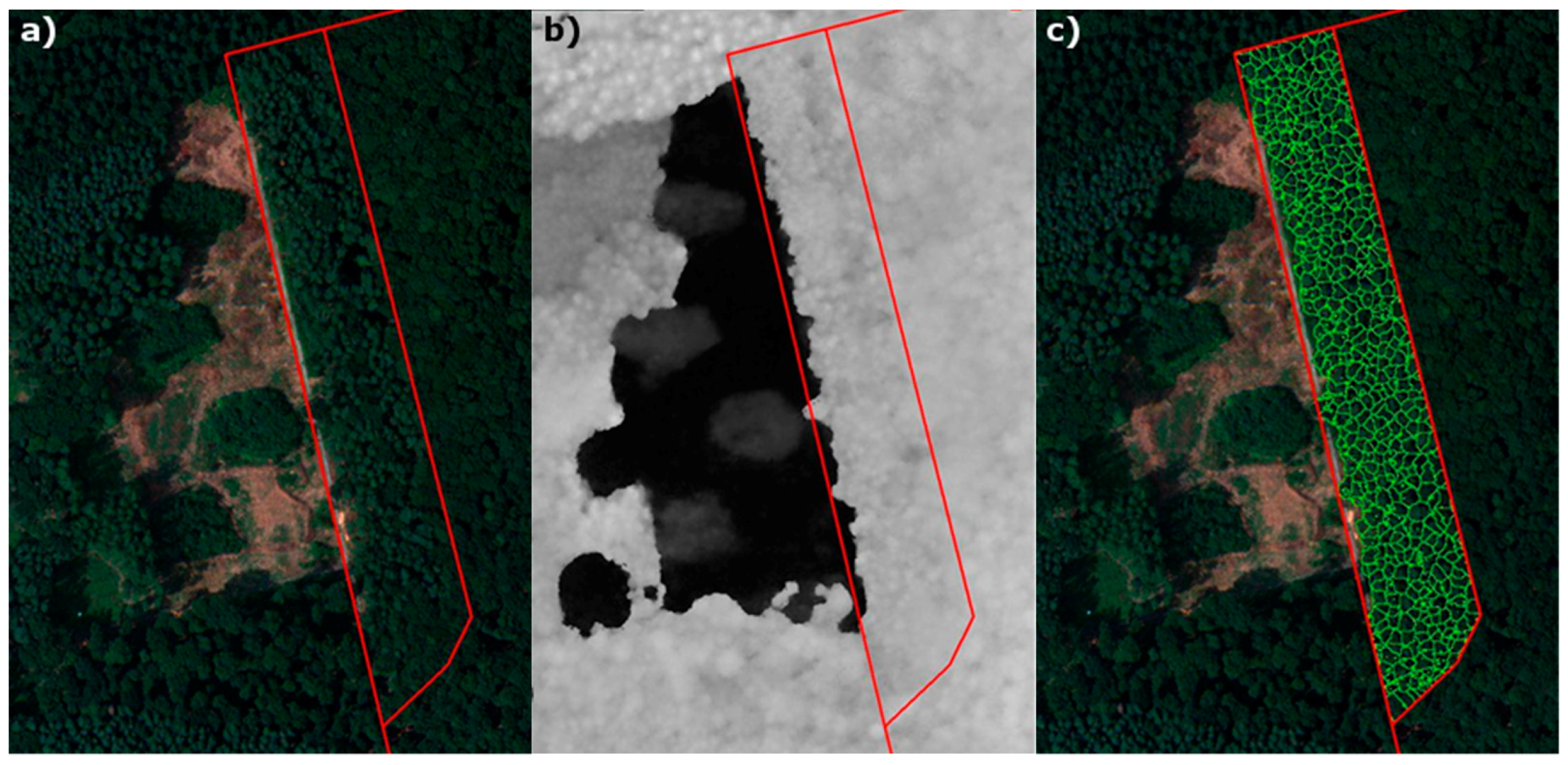 Forests 09 00126 g002
