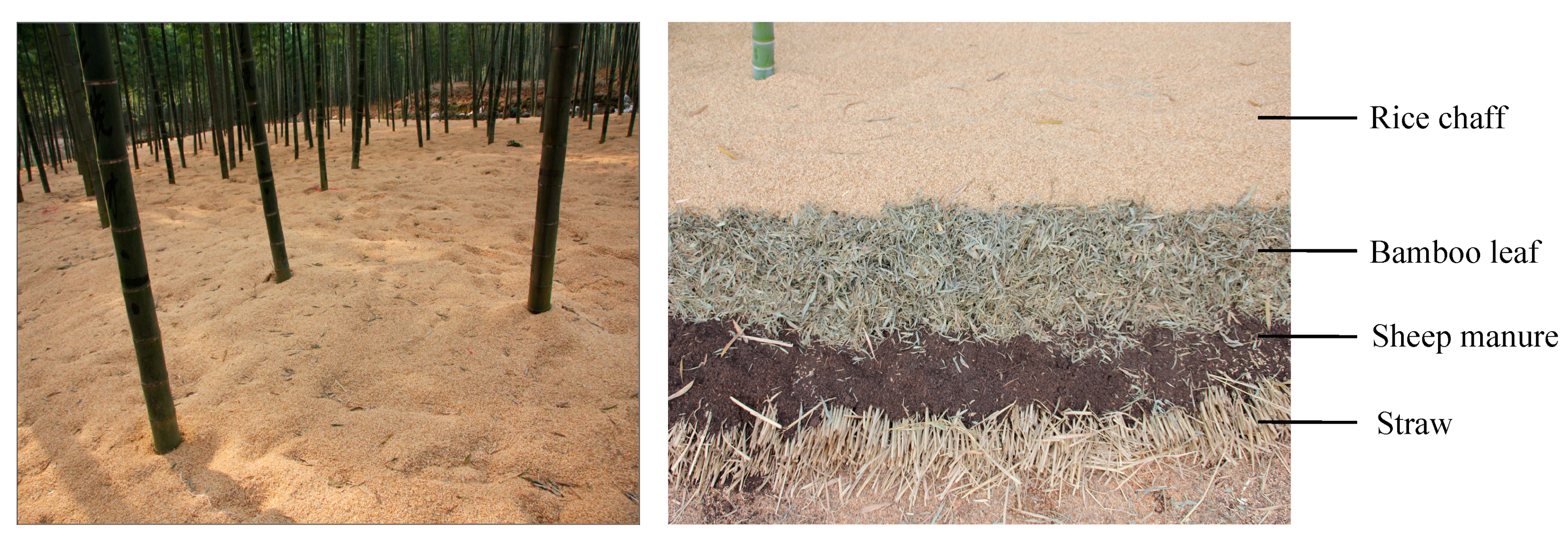 How to and for what to conduct soil mulching How to and for what to conduct soil mulching