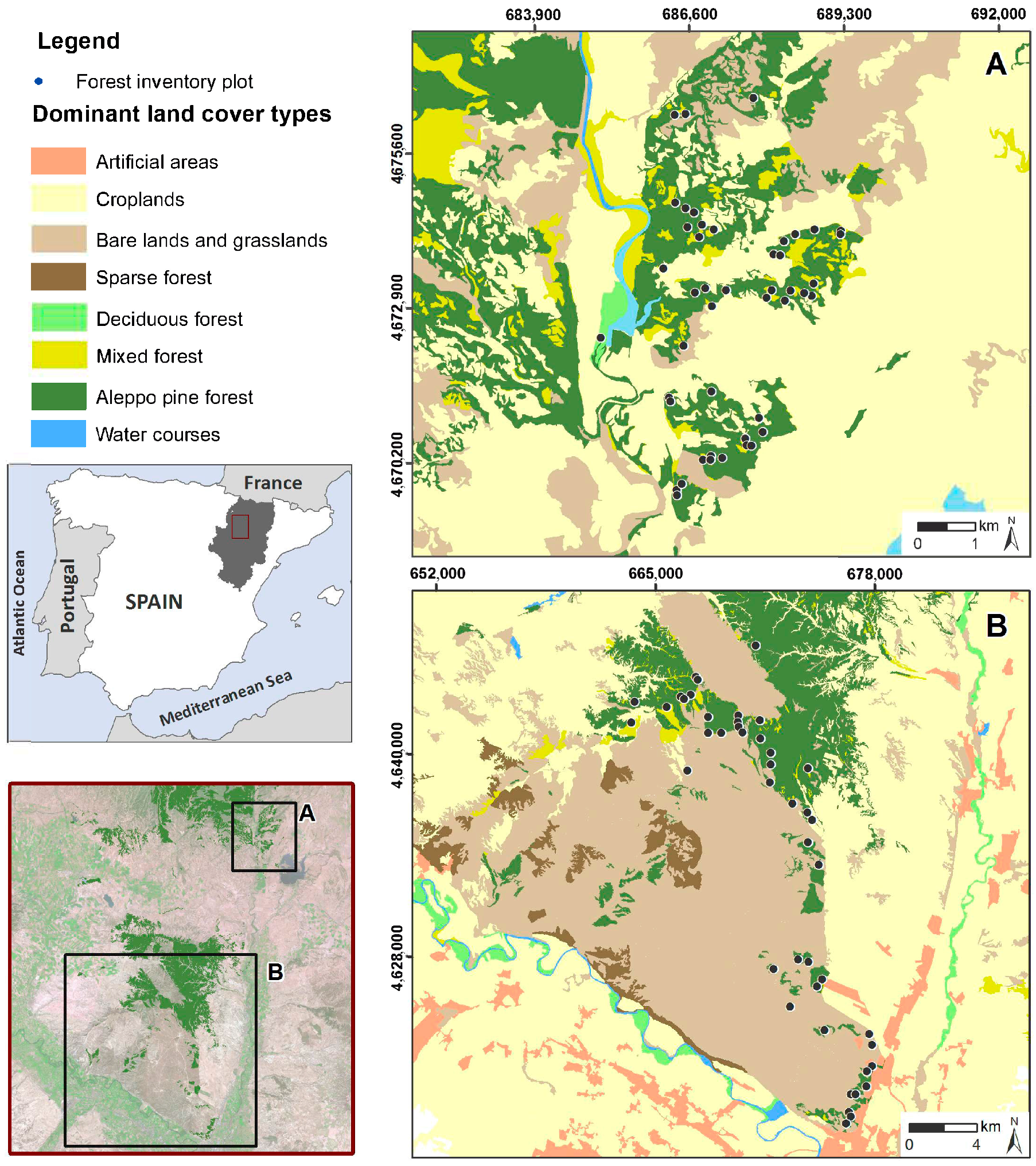 Forests 09 00158 g001