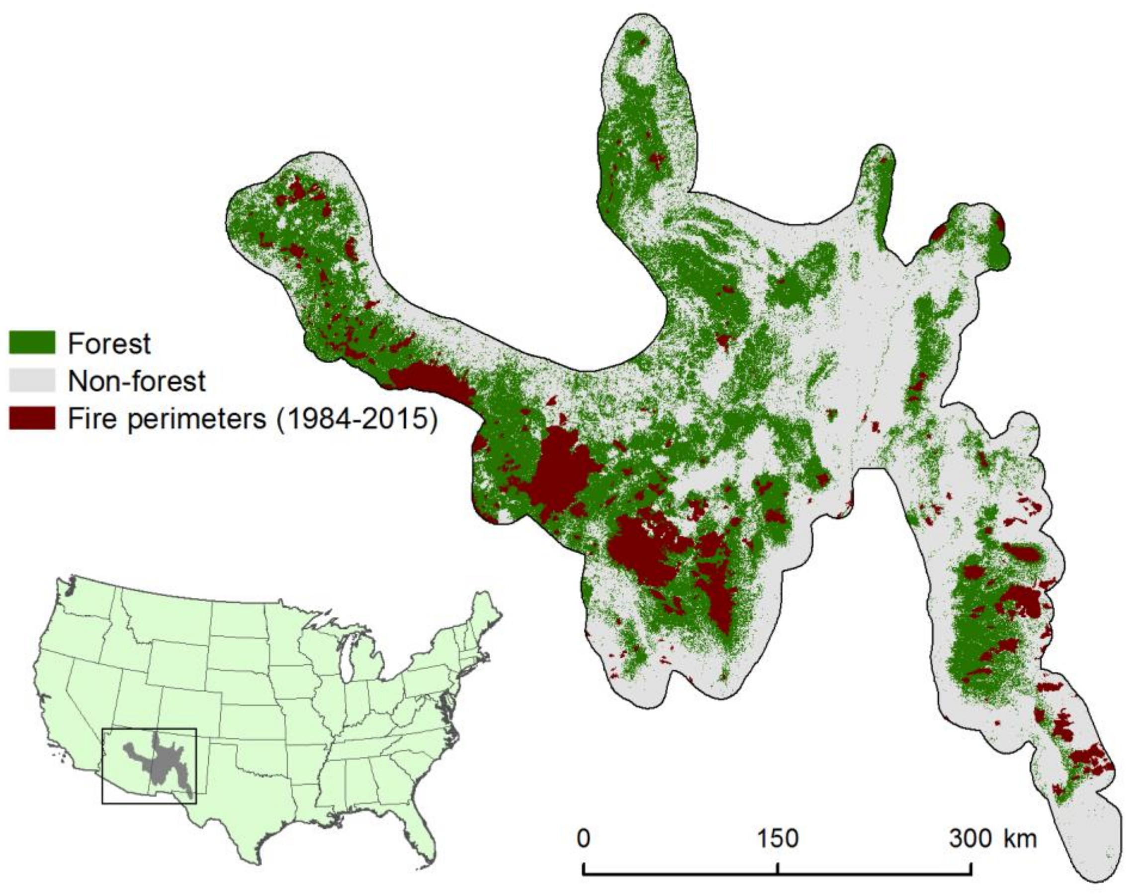 Forests 09 00165 g001
