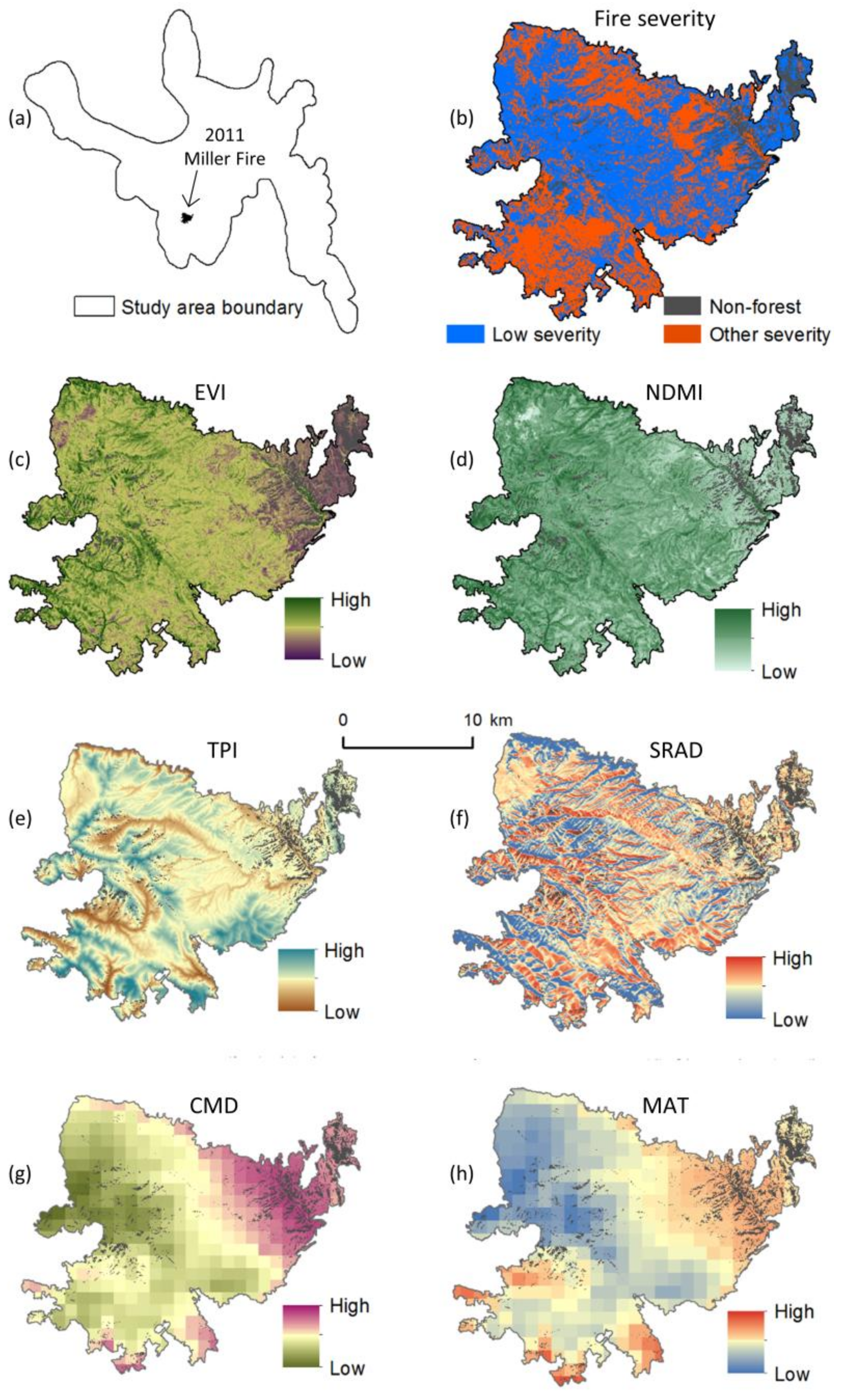 Forests 09 00165 g002