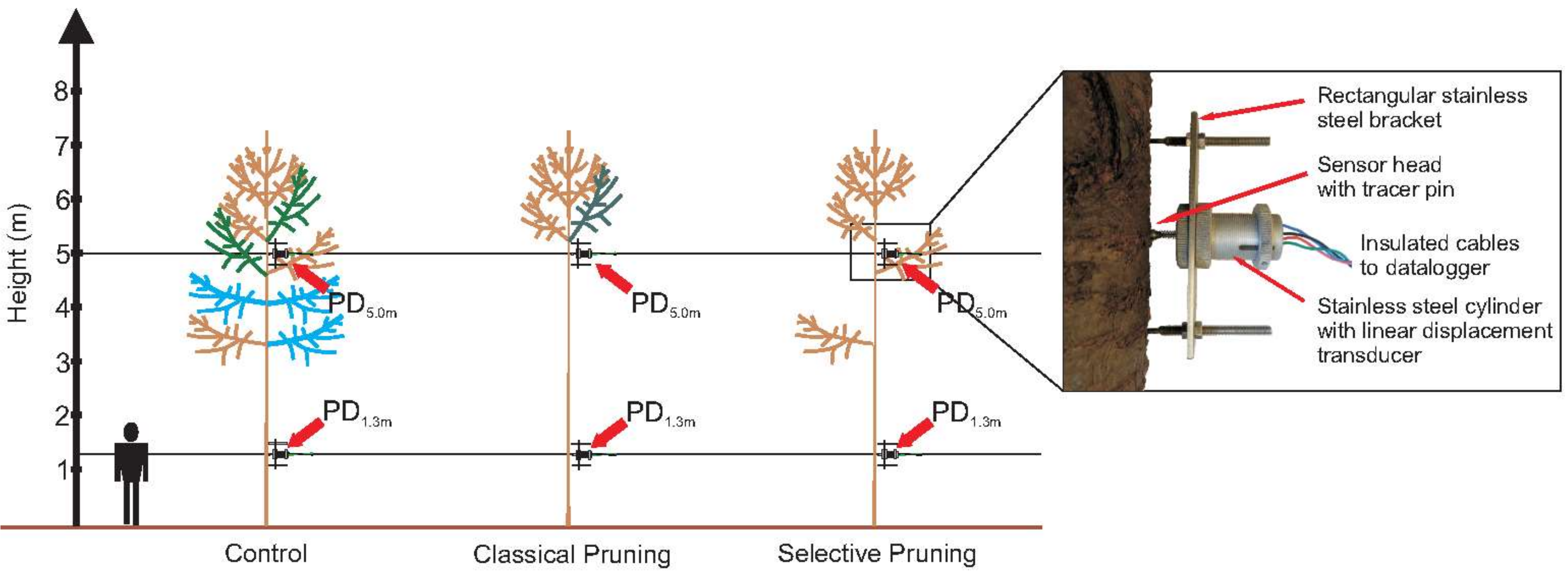 Forests 09 00174 g002 Forests 09 00174 g002