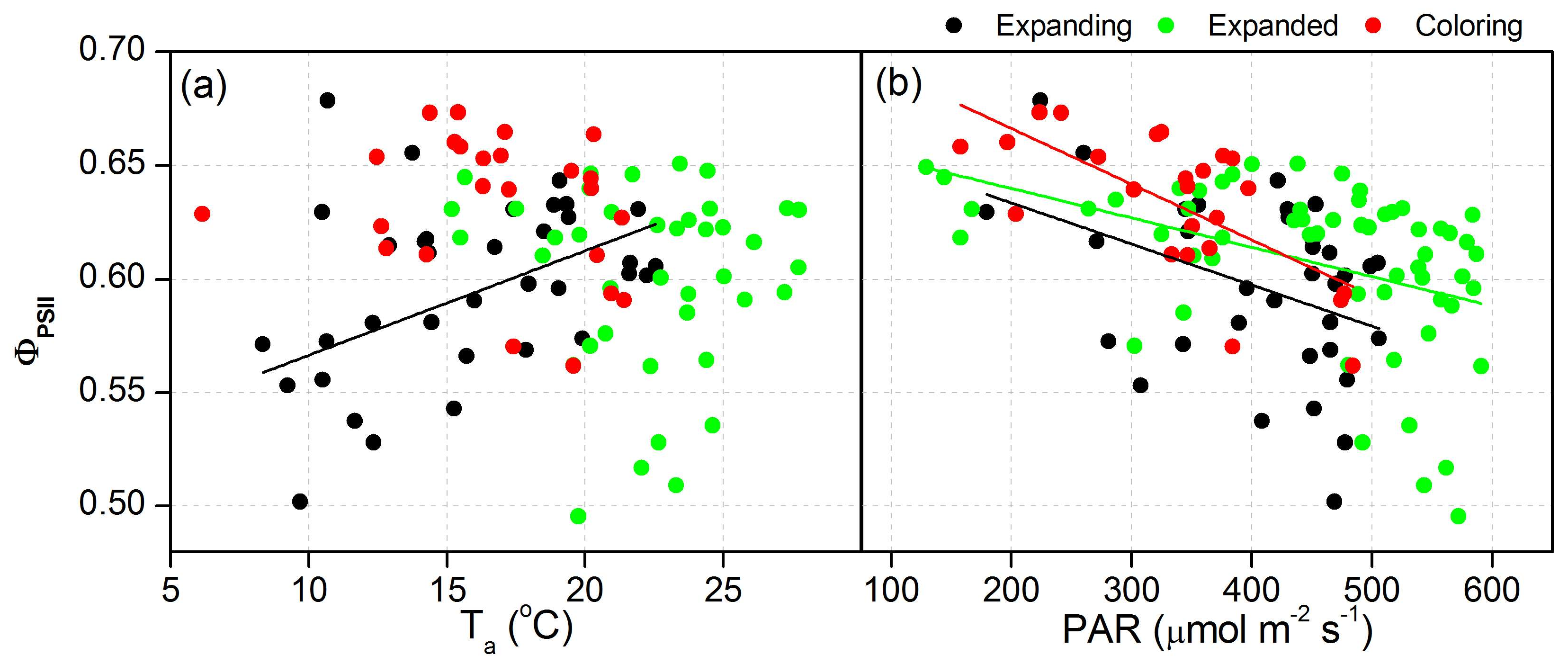 Forests 09 00176 g004