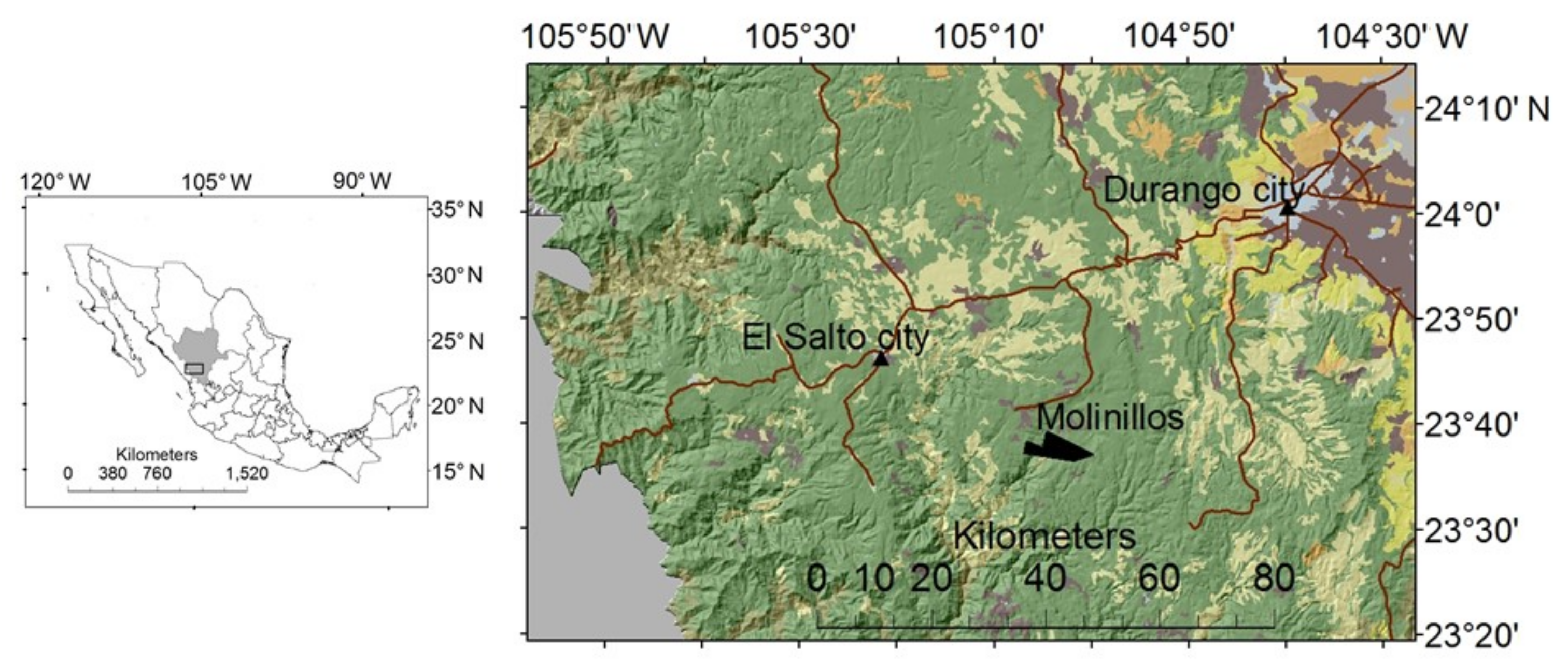 Forests 09 00178 g001