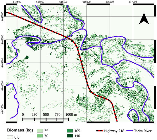 Biomass Carbon Sequestration Potential by Riparian Forest in the