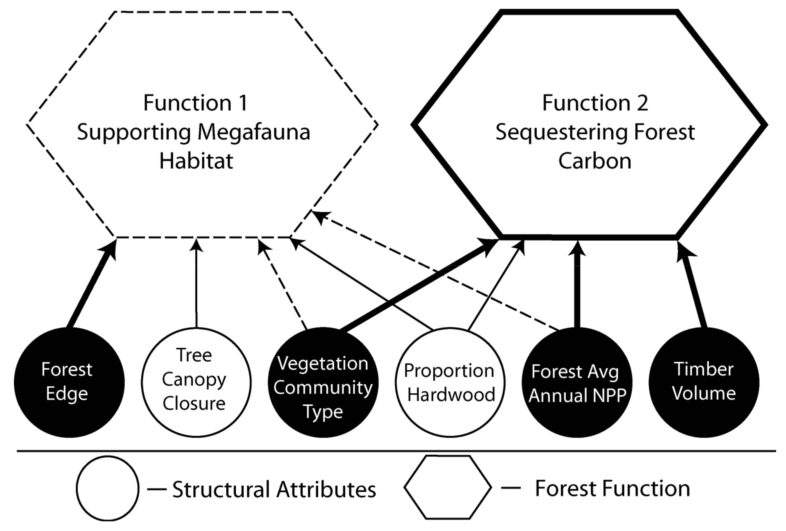 Forests 09 00200 g003