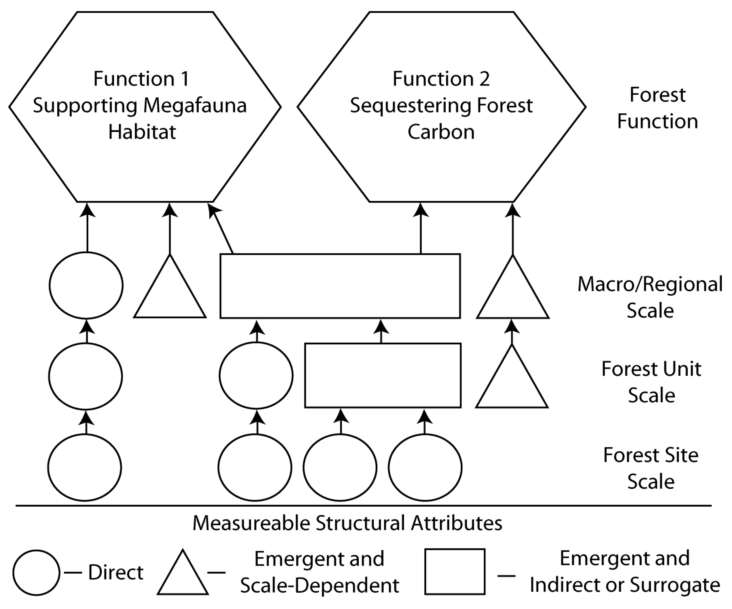 Forests 09 00200 g004
