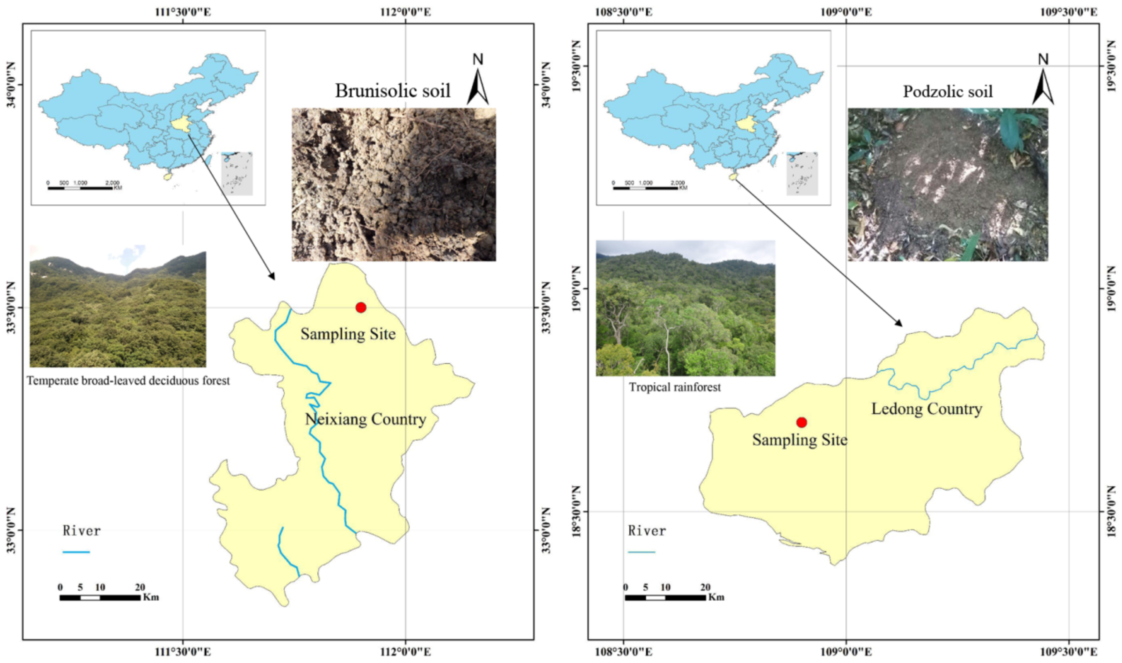 Forests 09 00204 g001