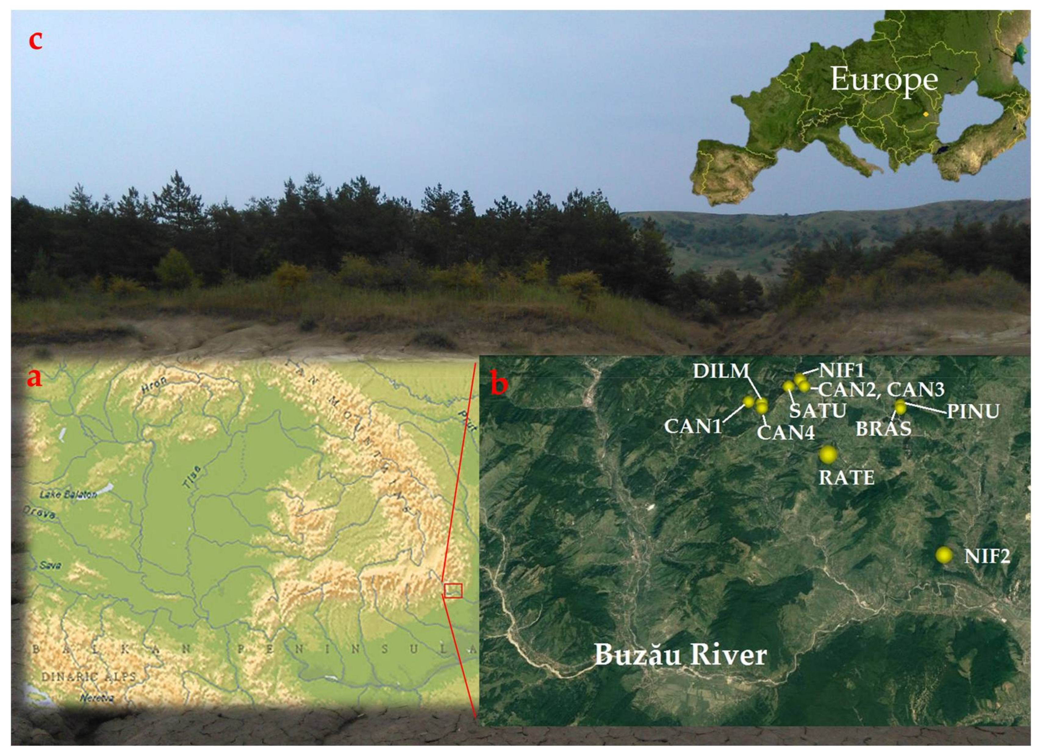 Forests 09 00213 g001 Forests 09 00213 g001