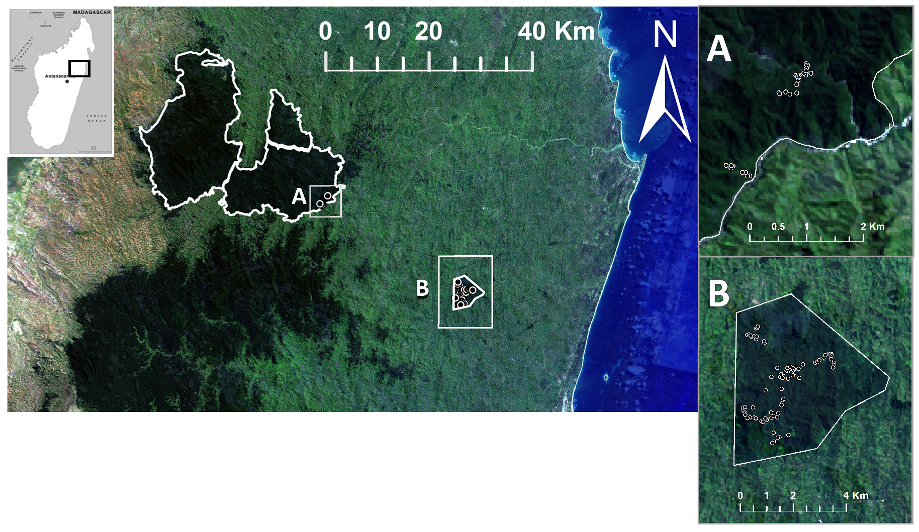Forests 09 00214 g001