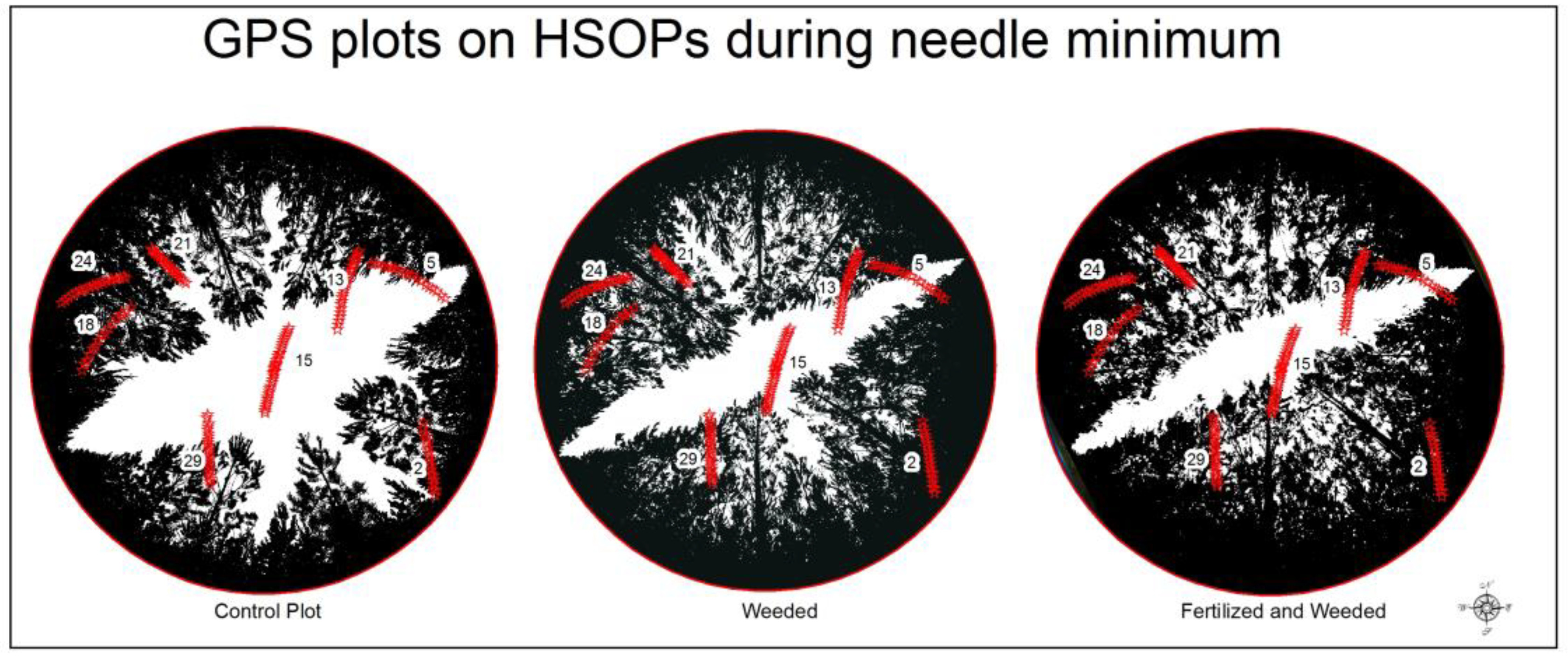 Forests 09 00226 g004 550