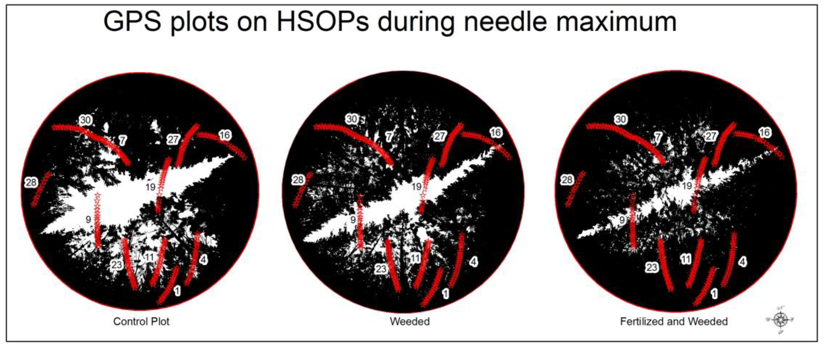 Forests 09 00226 g005 550