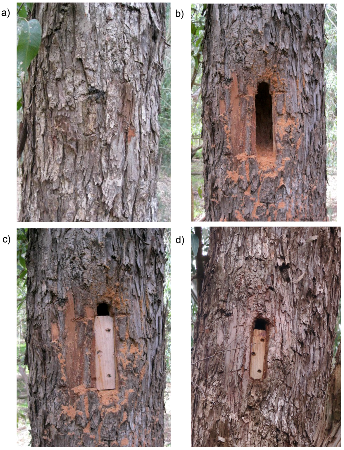 Forests 09 00235 g0a1 Forests 09 00235 g0a1