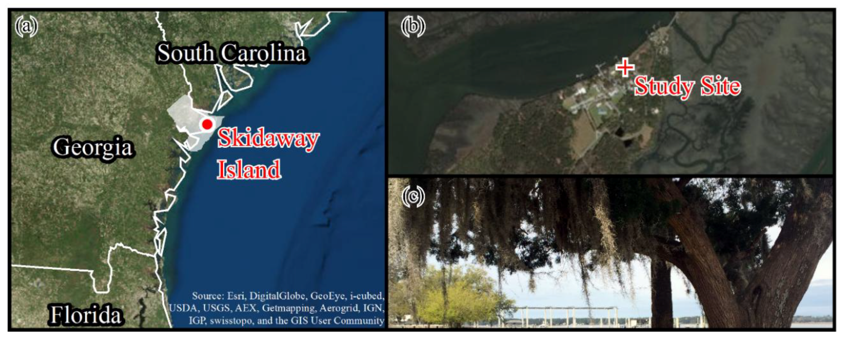 Forests 09 00236 g001 550