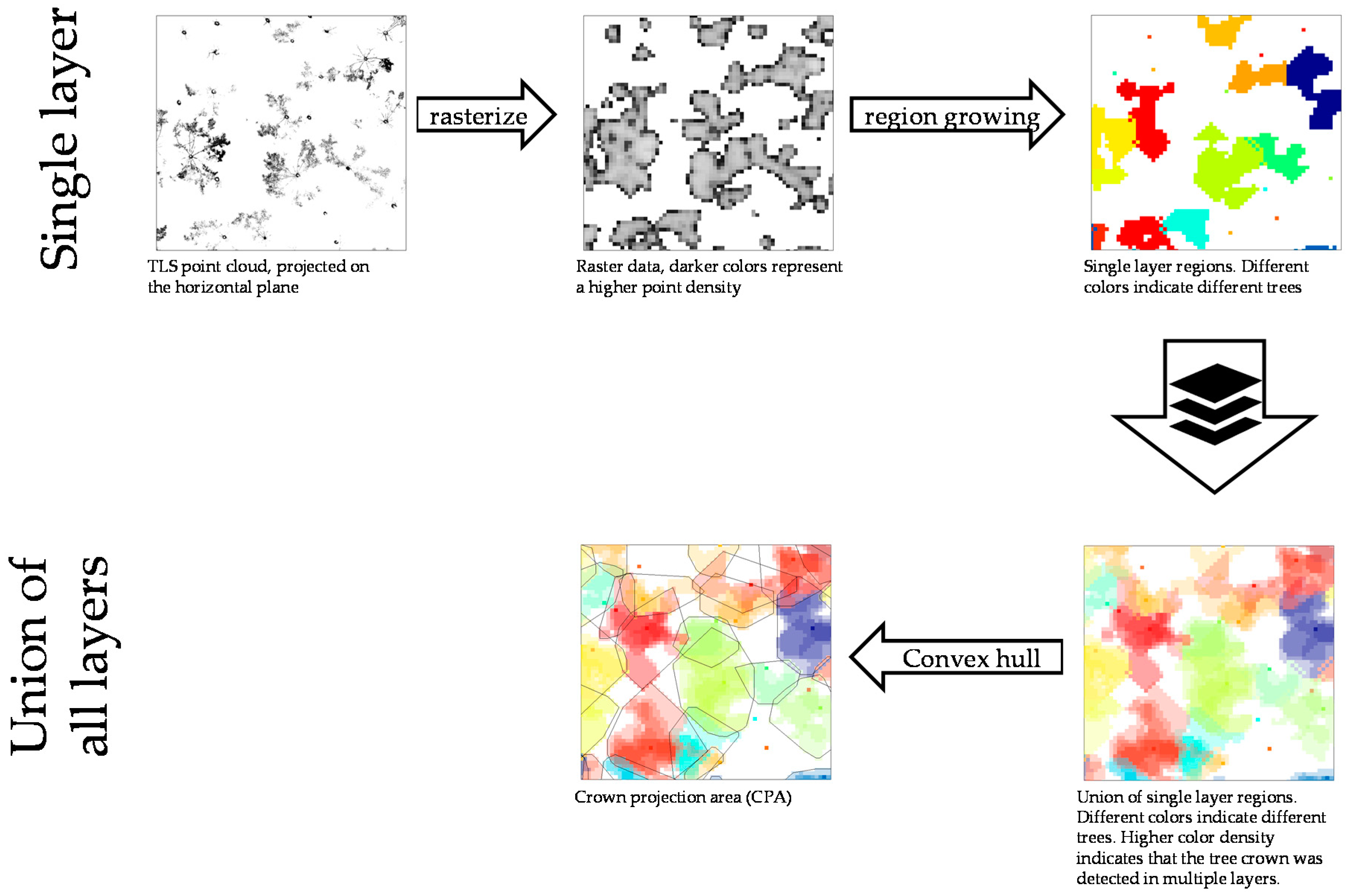 Forests 09 00237 g001
