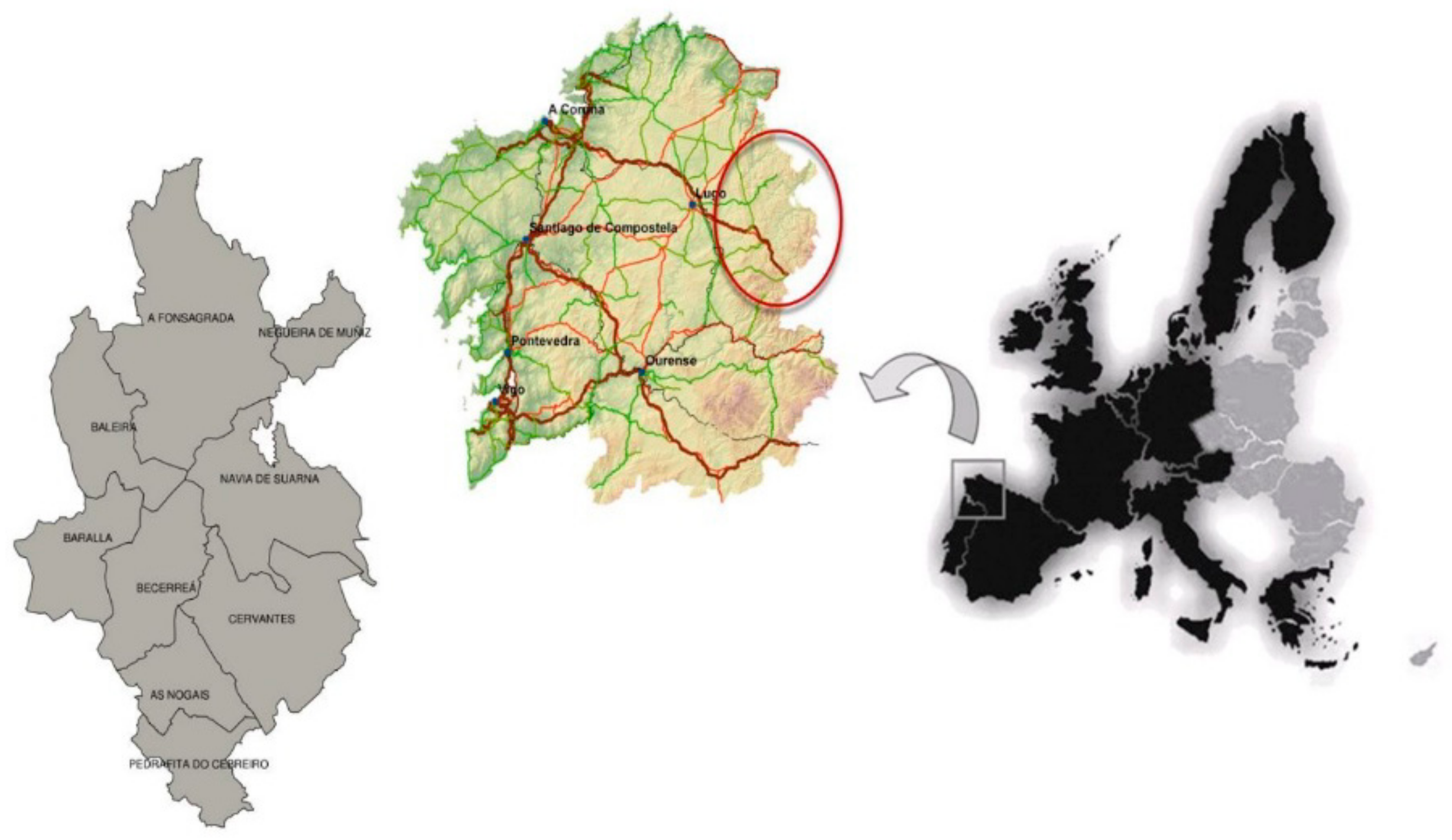 Forests 09 00240 g001 550