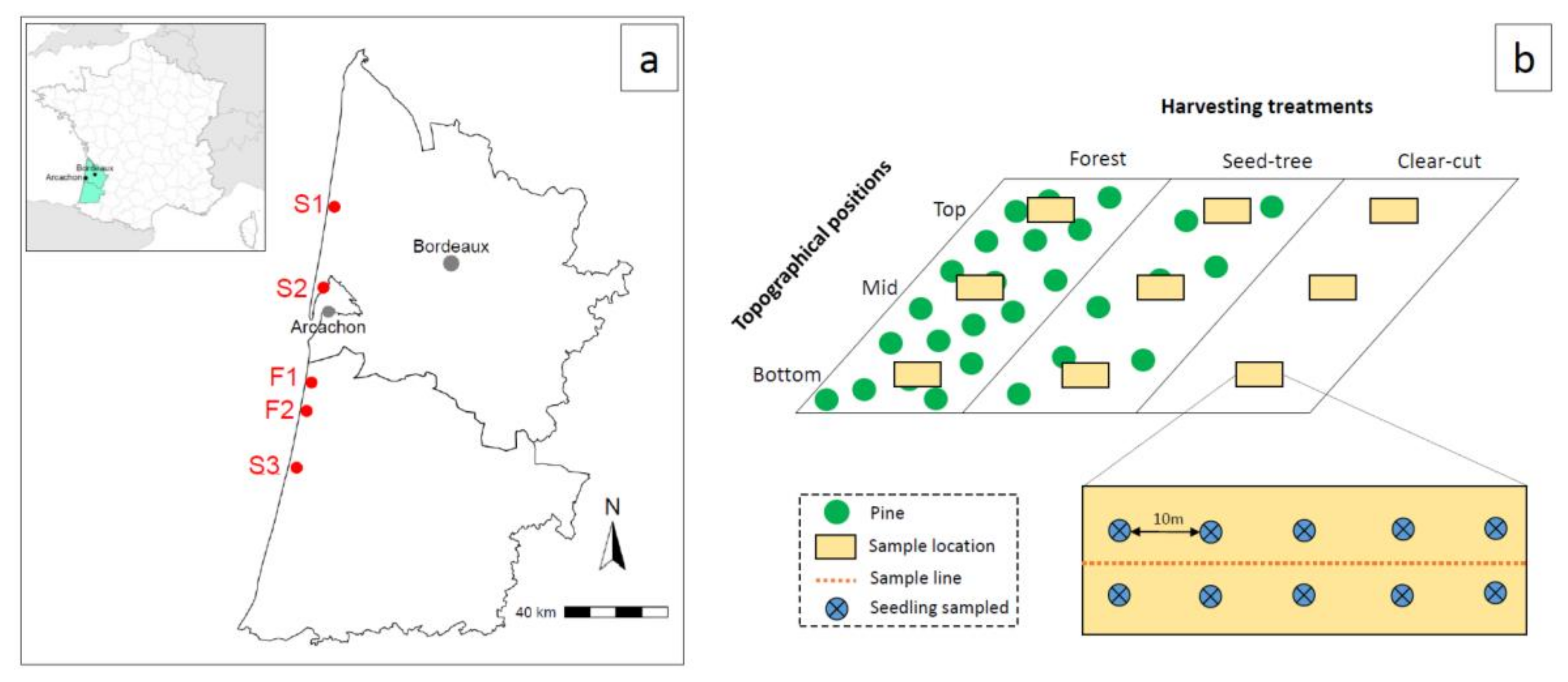 Forests 09 00245 g001