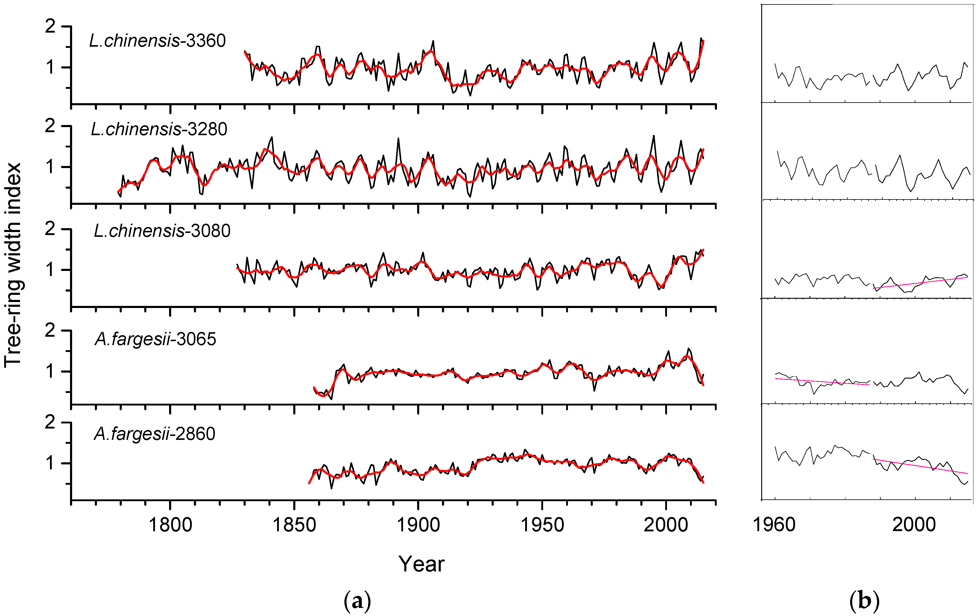 Forests 09 00248 g003 550