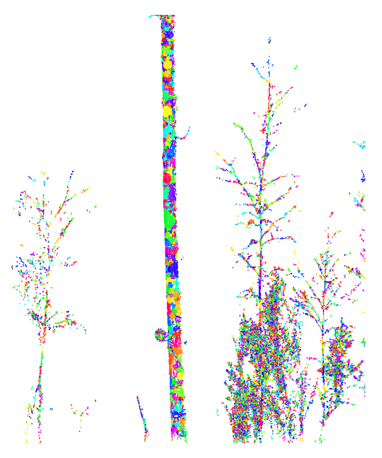 Forests 09 00252 g003