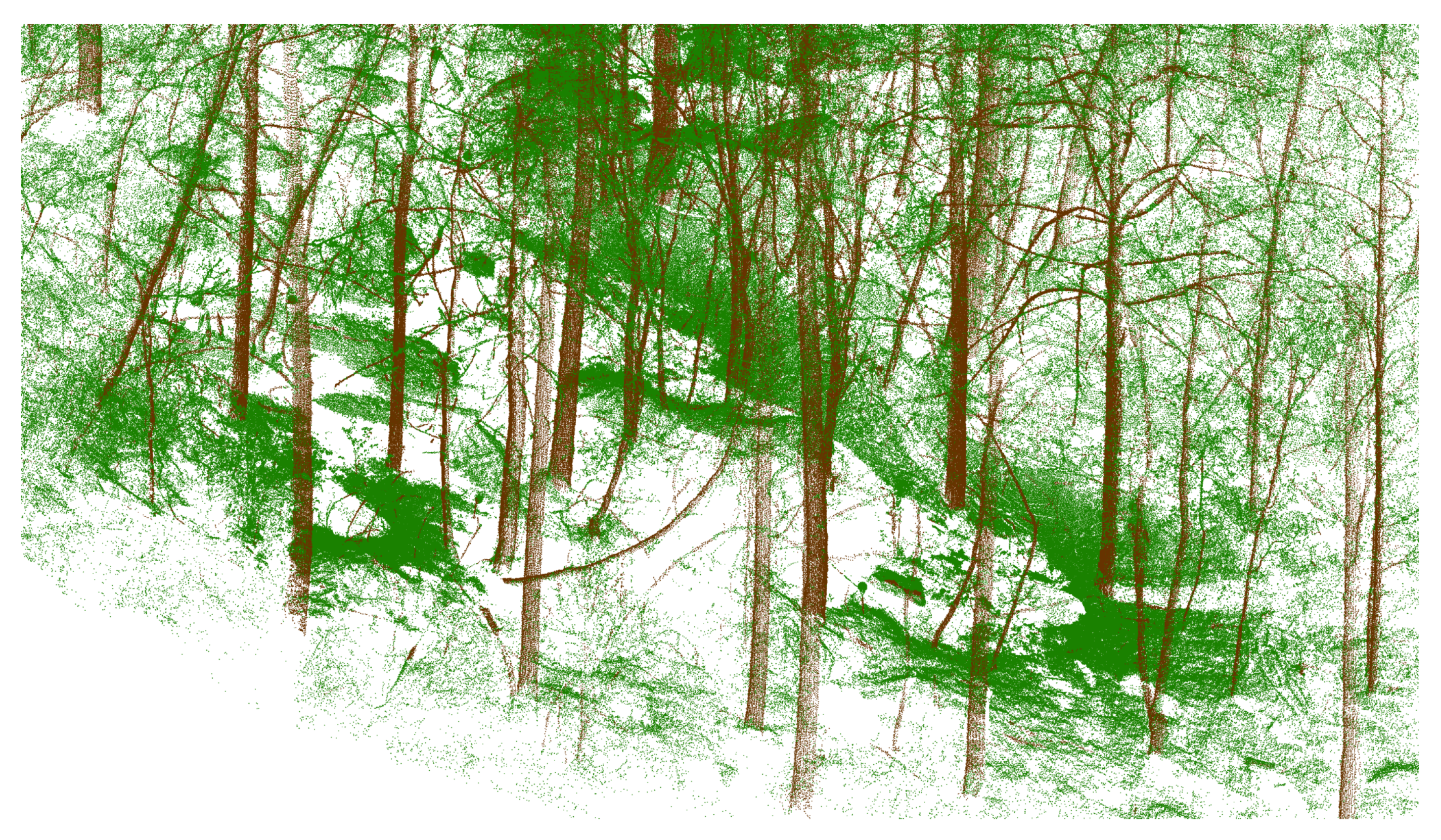 Forests 09 00252 g013