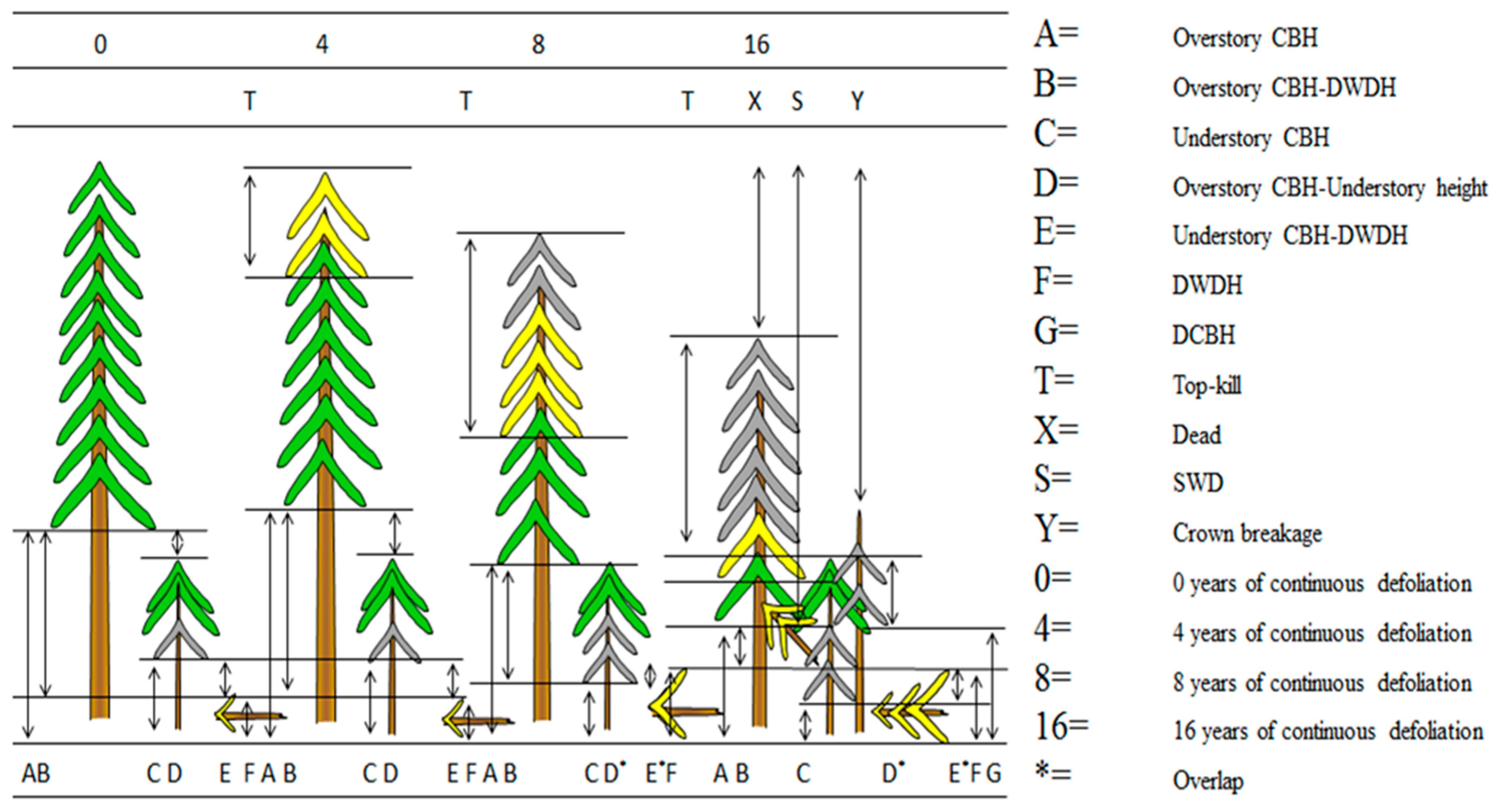 Forests 09 00256 g001