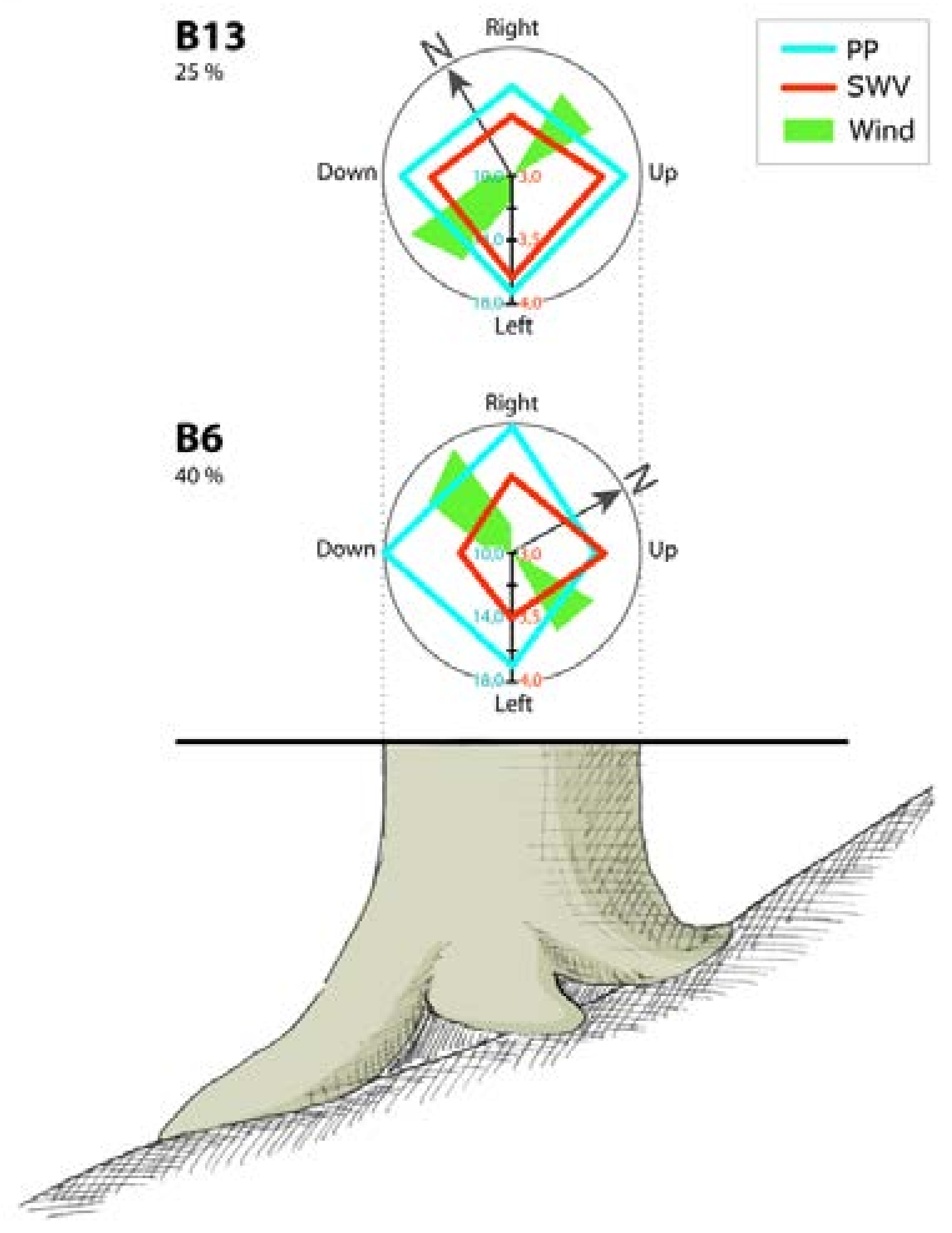 Forests 09 00276 g001 550