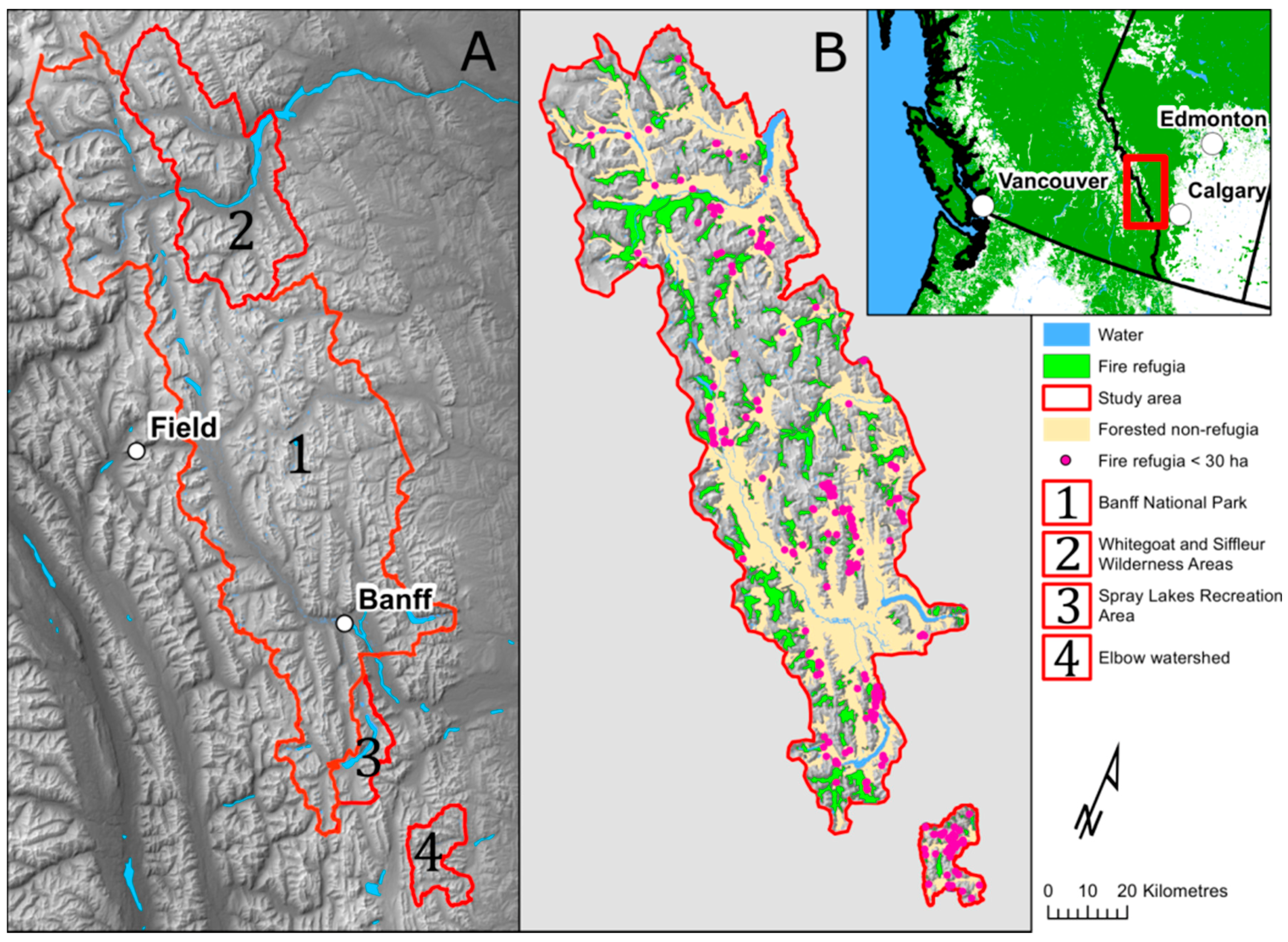 Forests 09 00285 g001 550