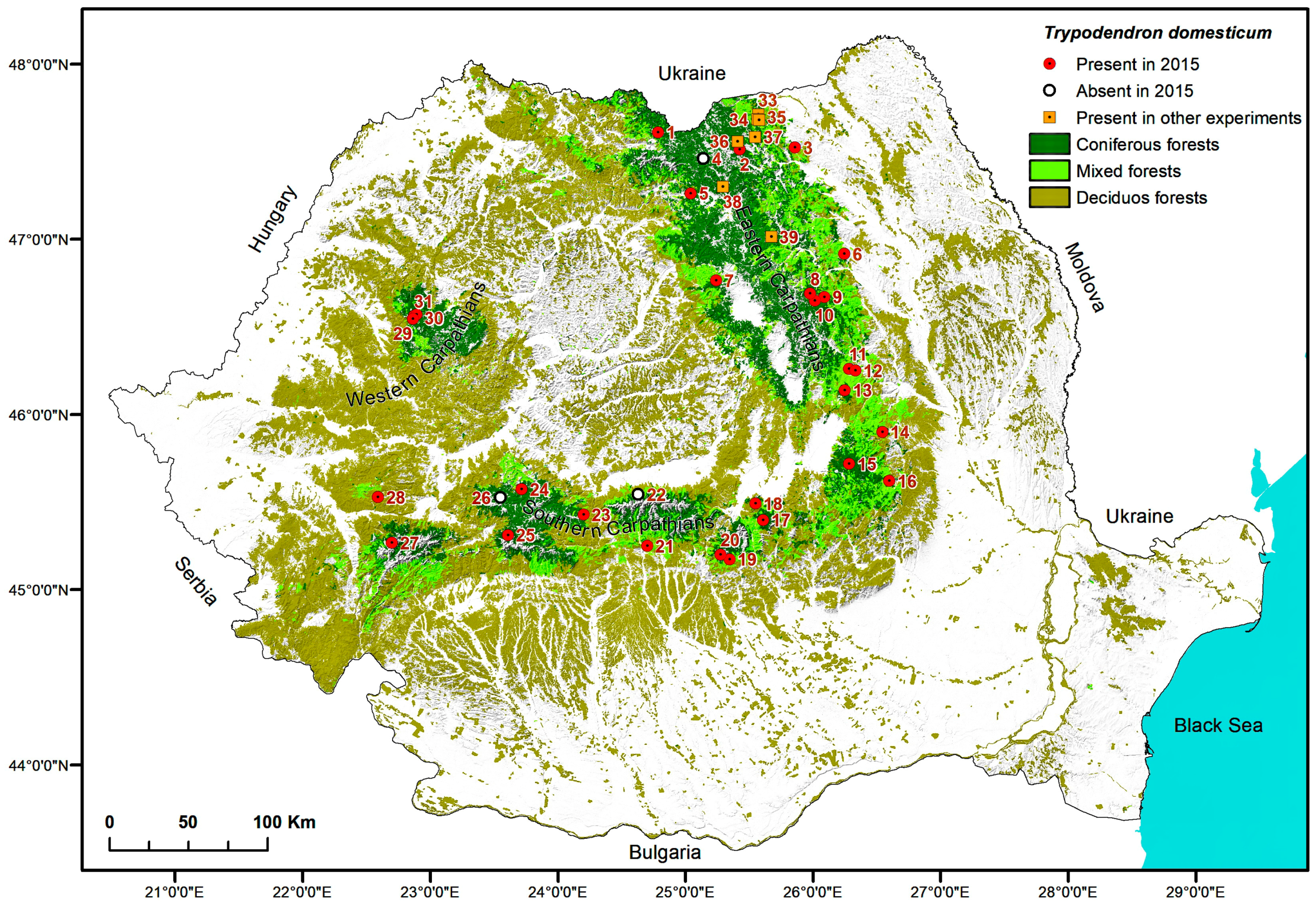 Forests 09 00286 g003 550