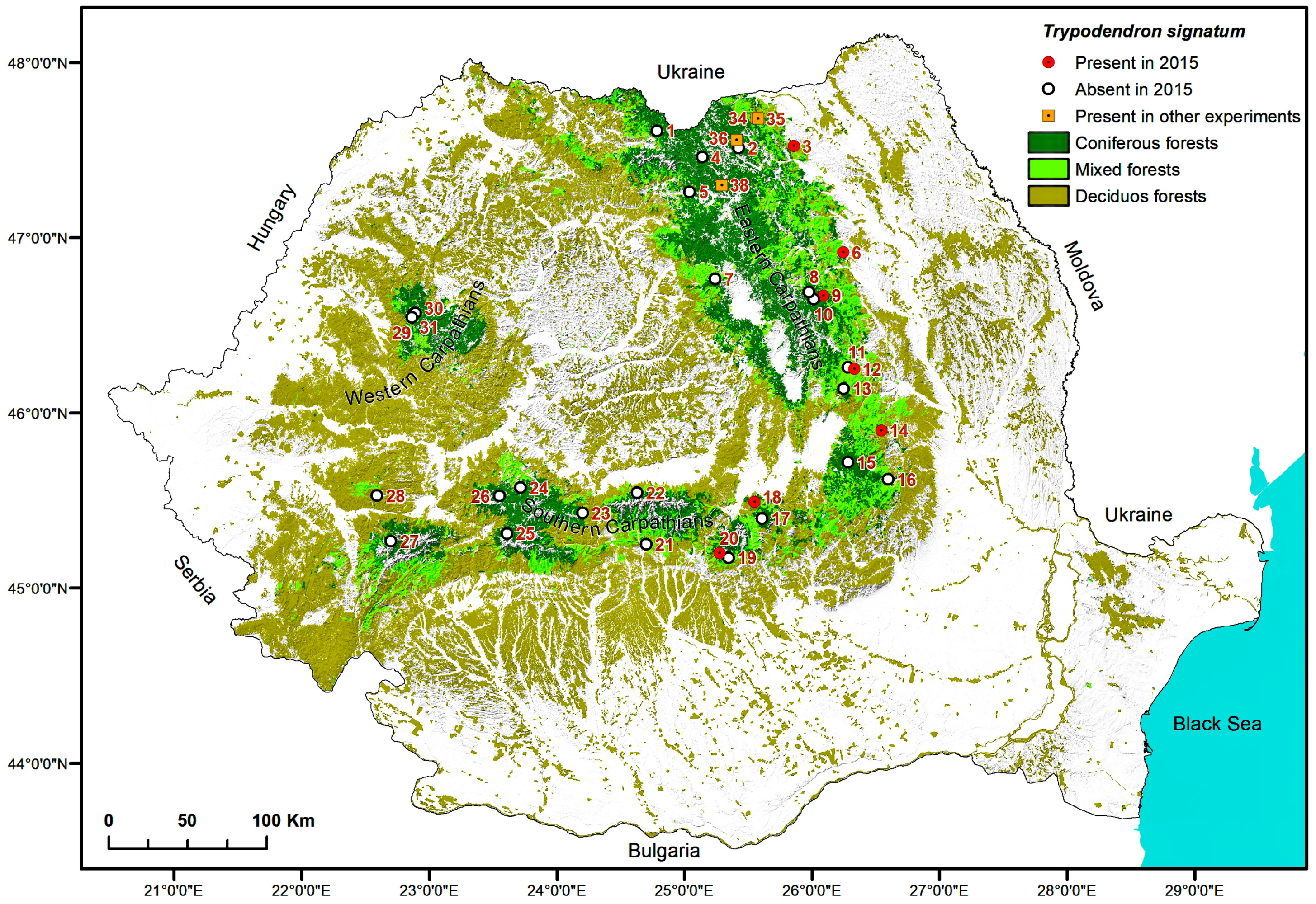 Forests 09 00286 g004 550