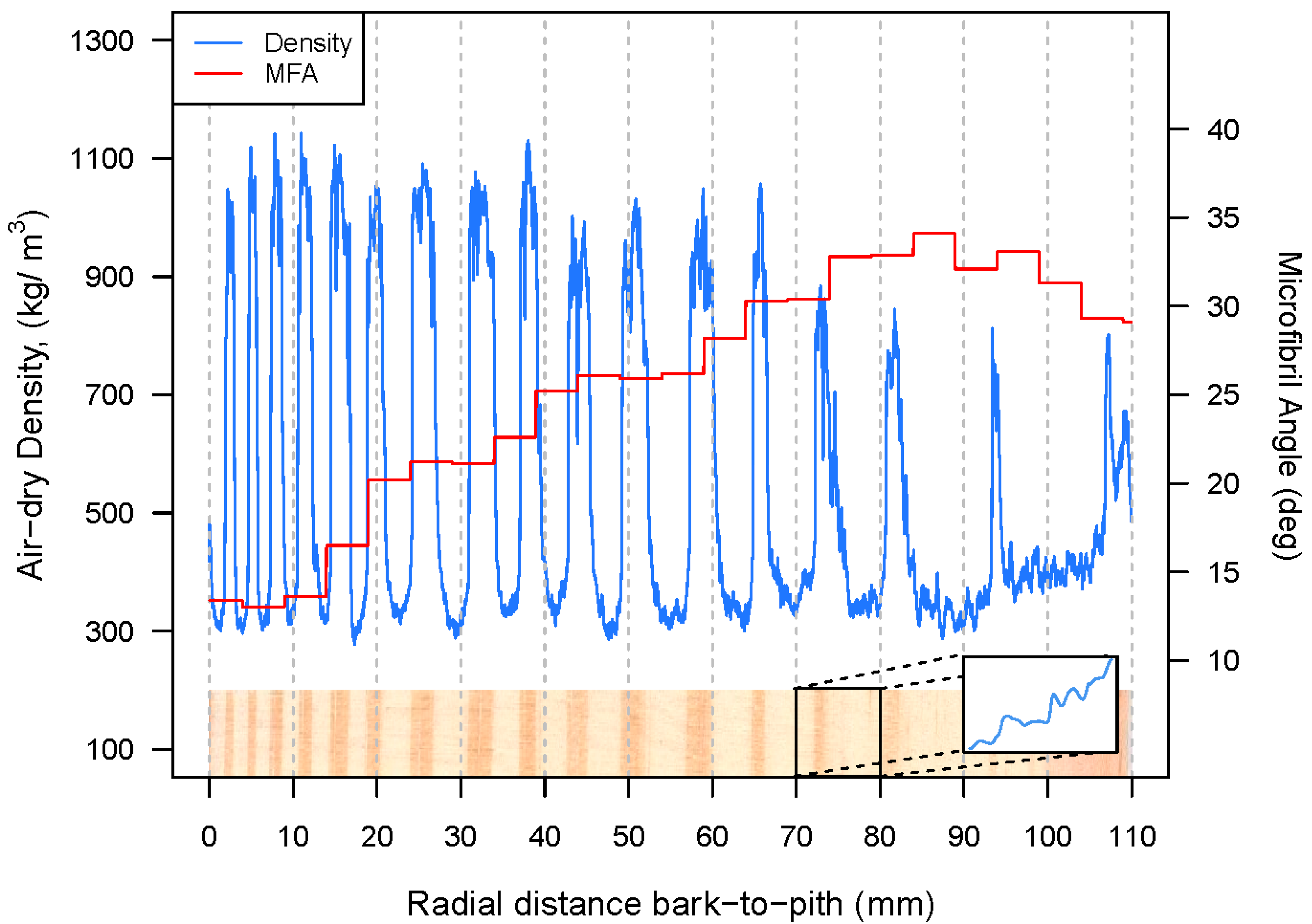 Forests 09 00287 g001