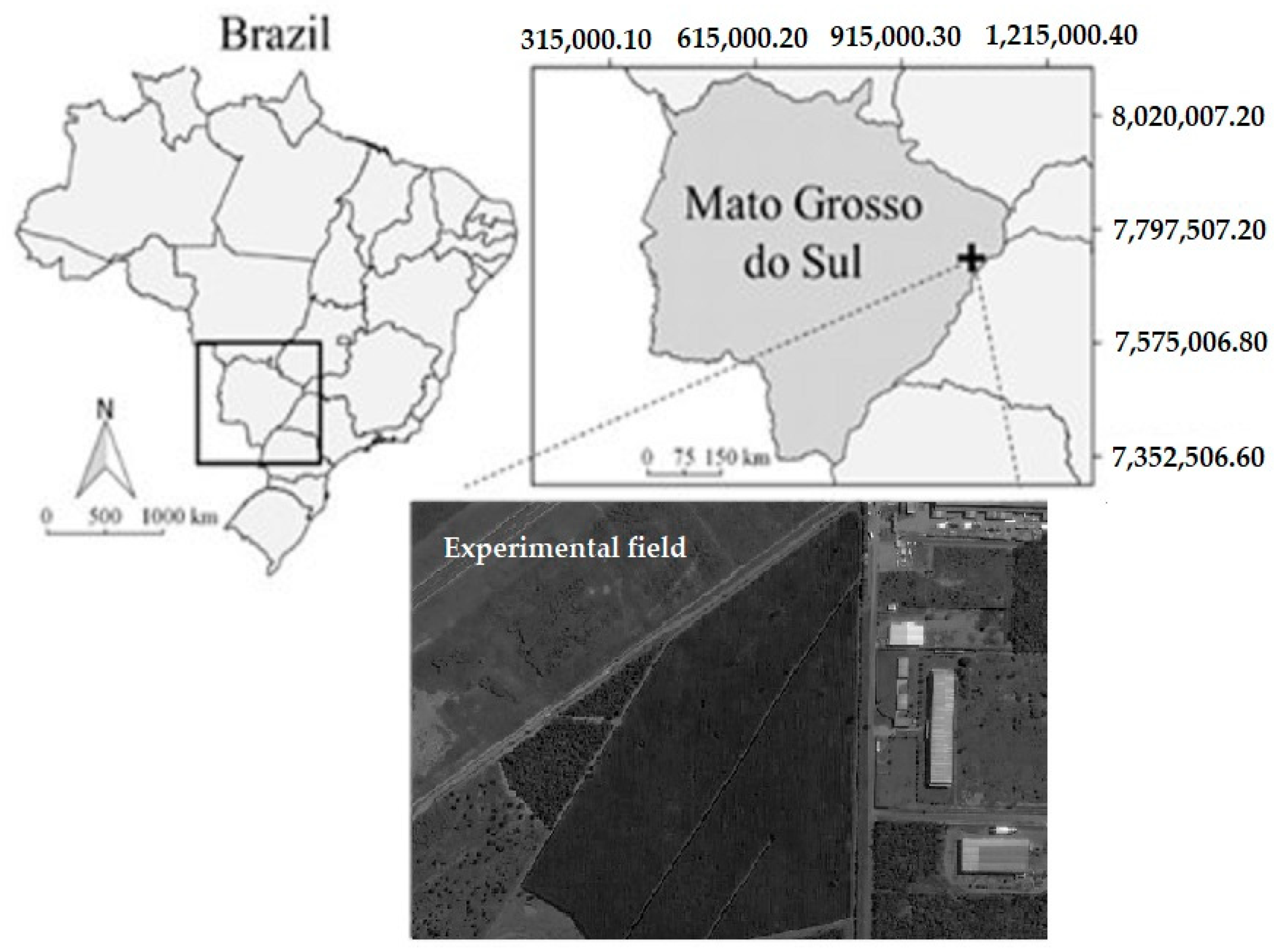 Forests 09 00290 g001 550