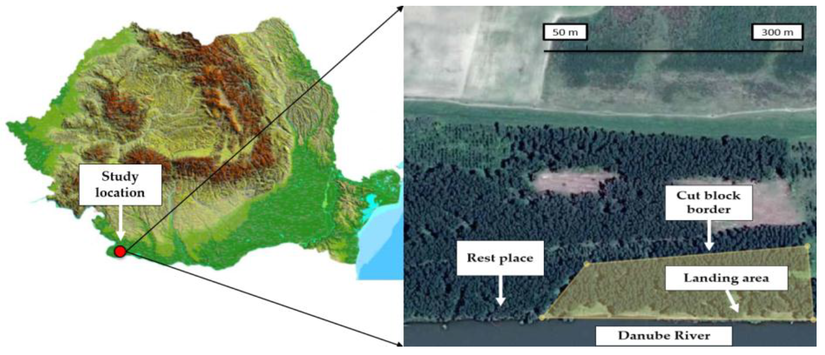 Forests 09 00300 g001