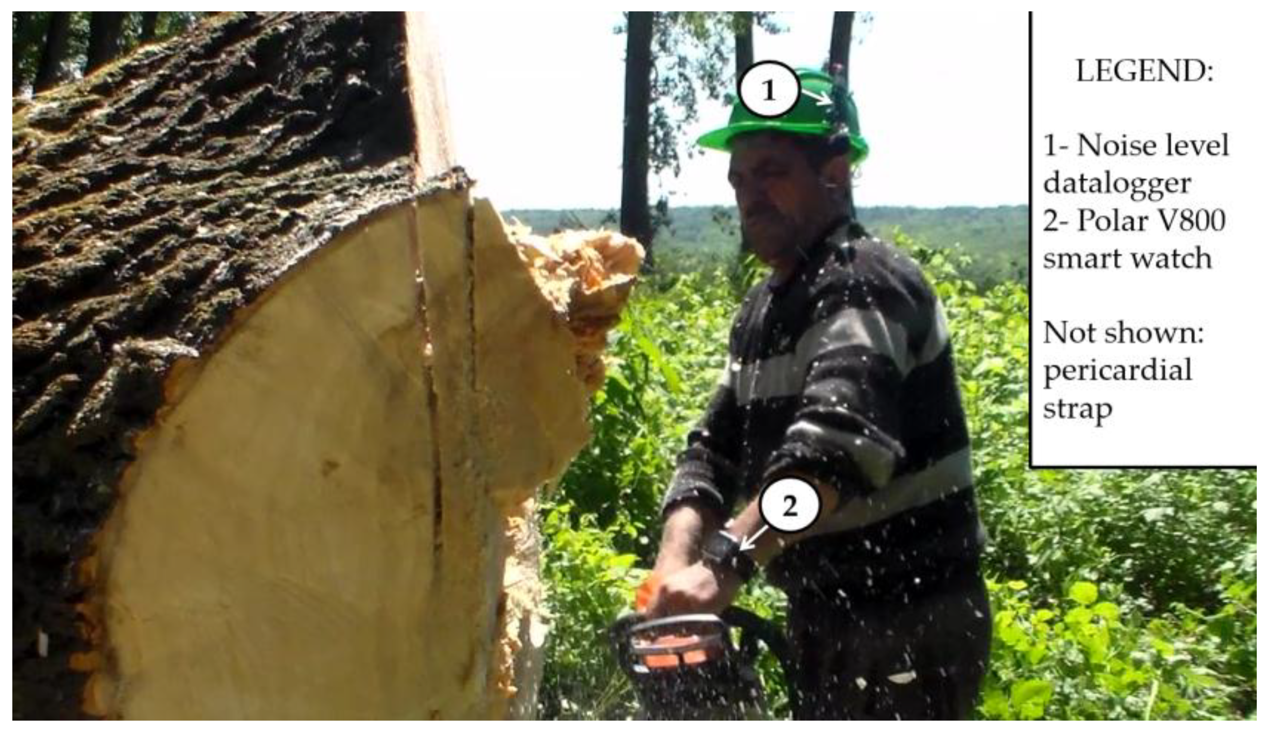 Forests 09 00300 g002