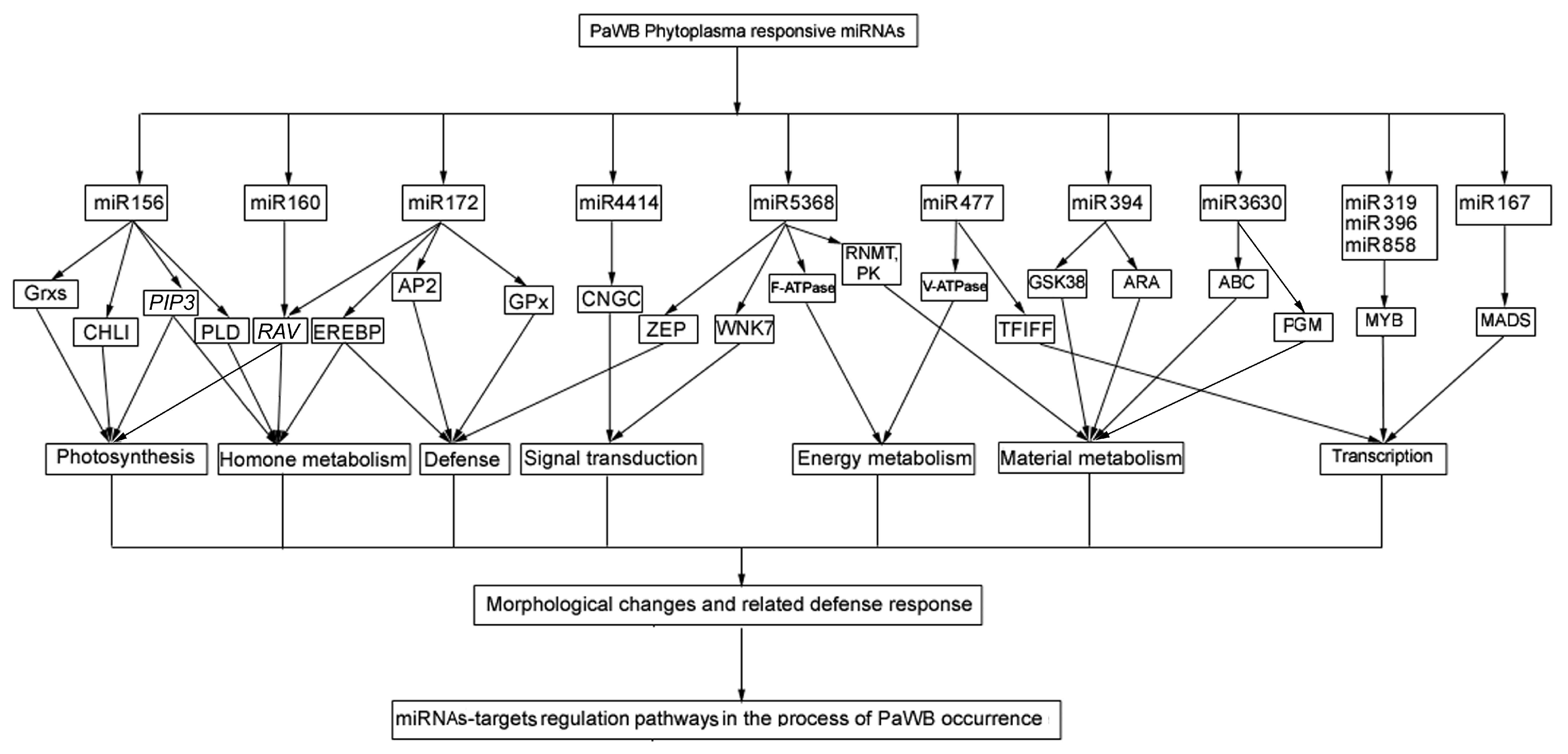 Forests 09 00302 g003