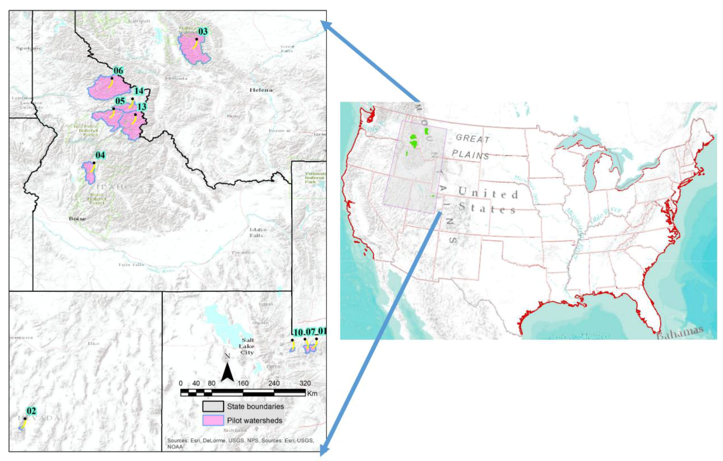 Forests 09 00317 g001