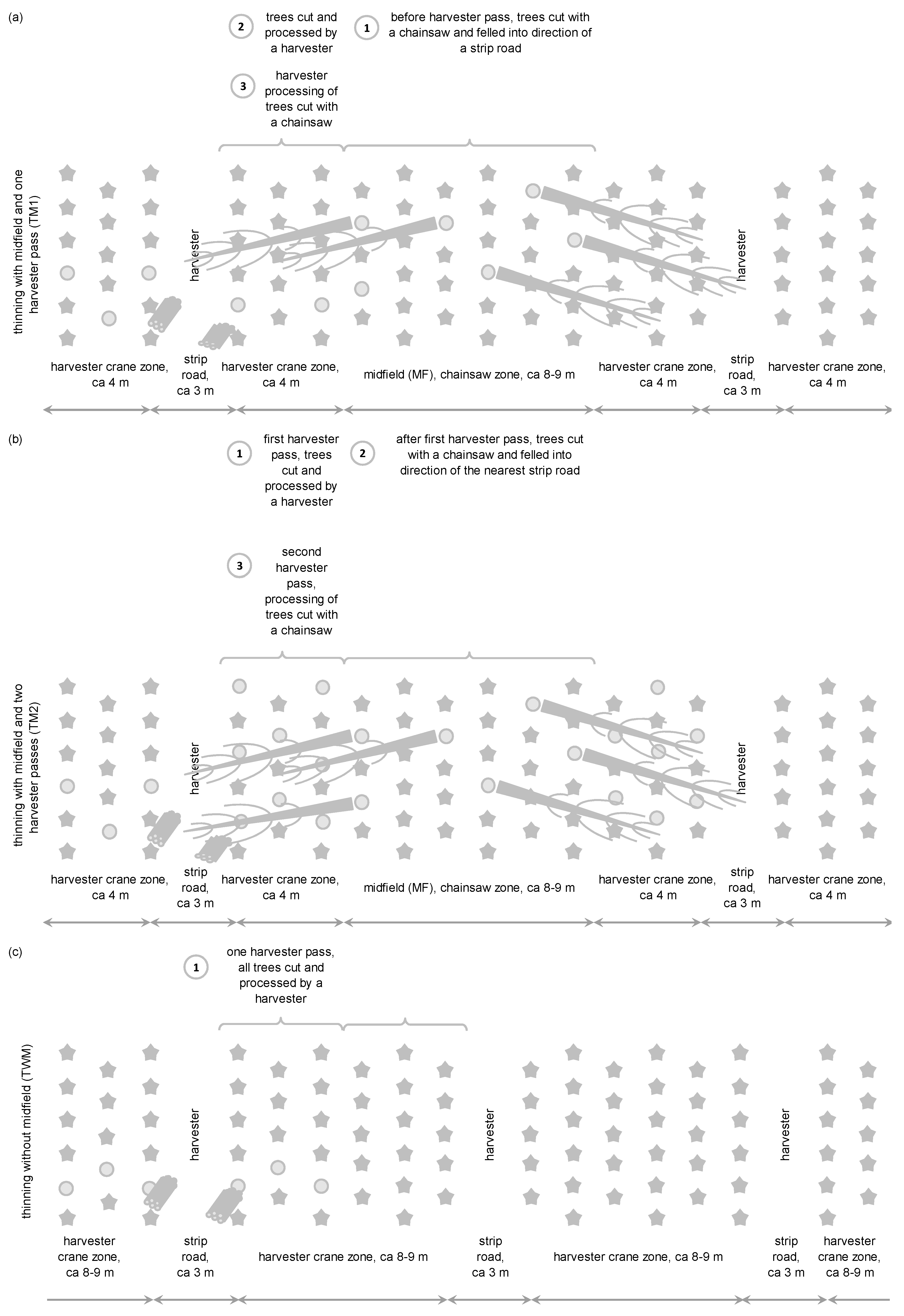 Forests 09 00335 g001