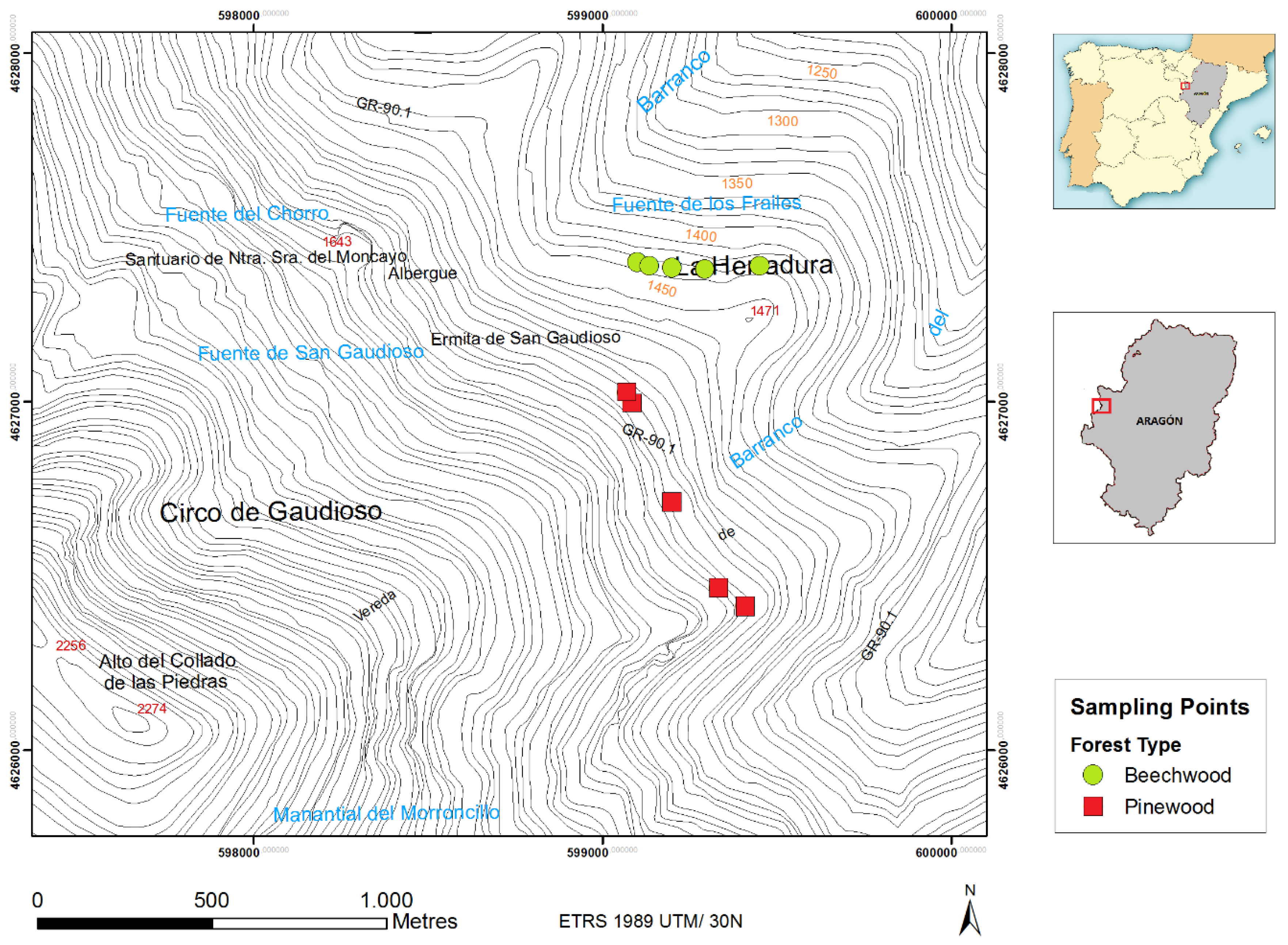 Forests 09 00343 g001