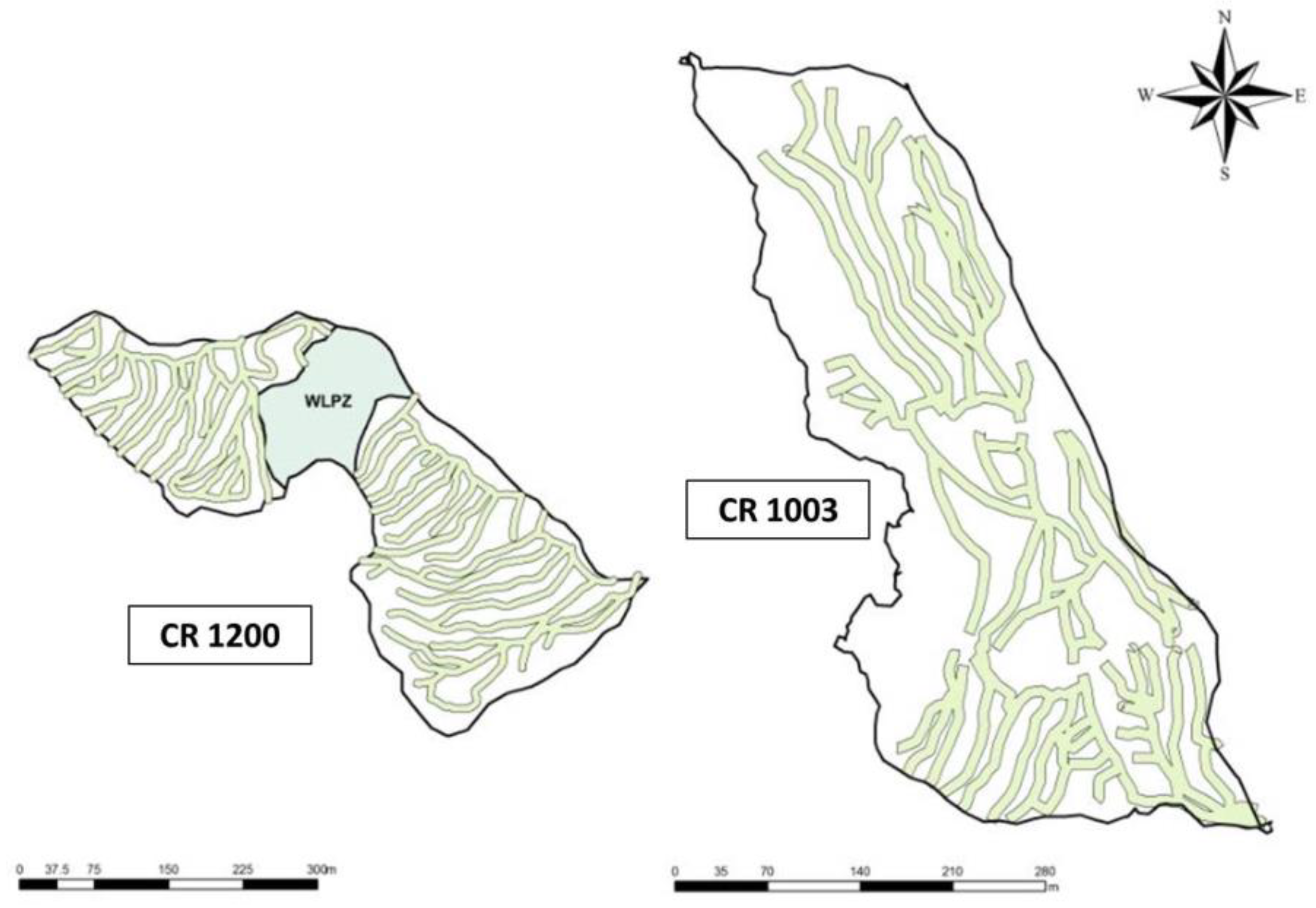 Forests 09 00352 g001