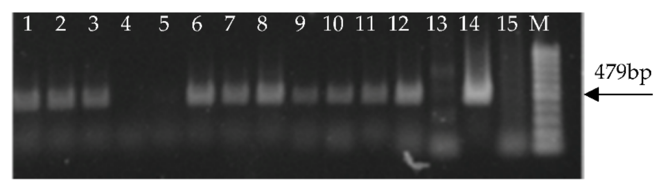 Forests 09 00356 g001 Forests 09 00356 g001