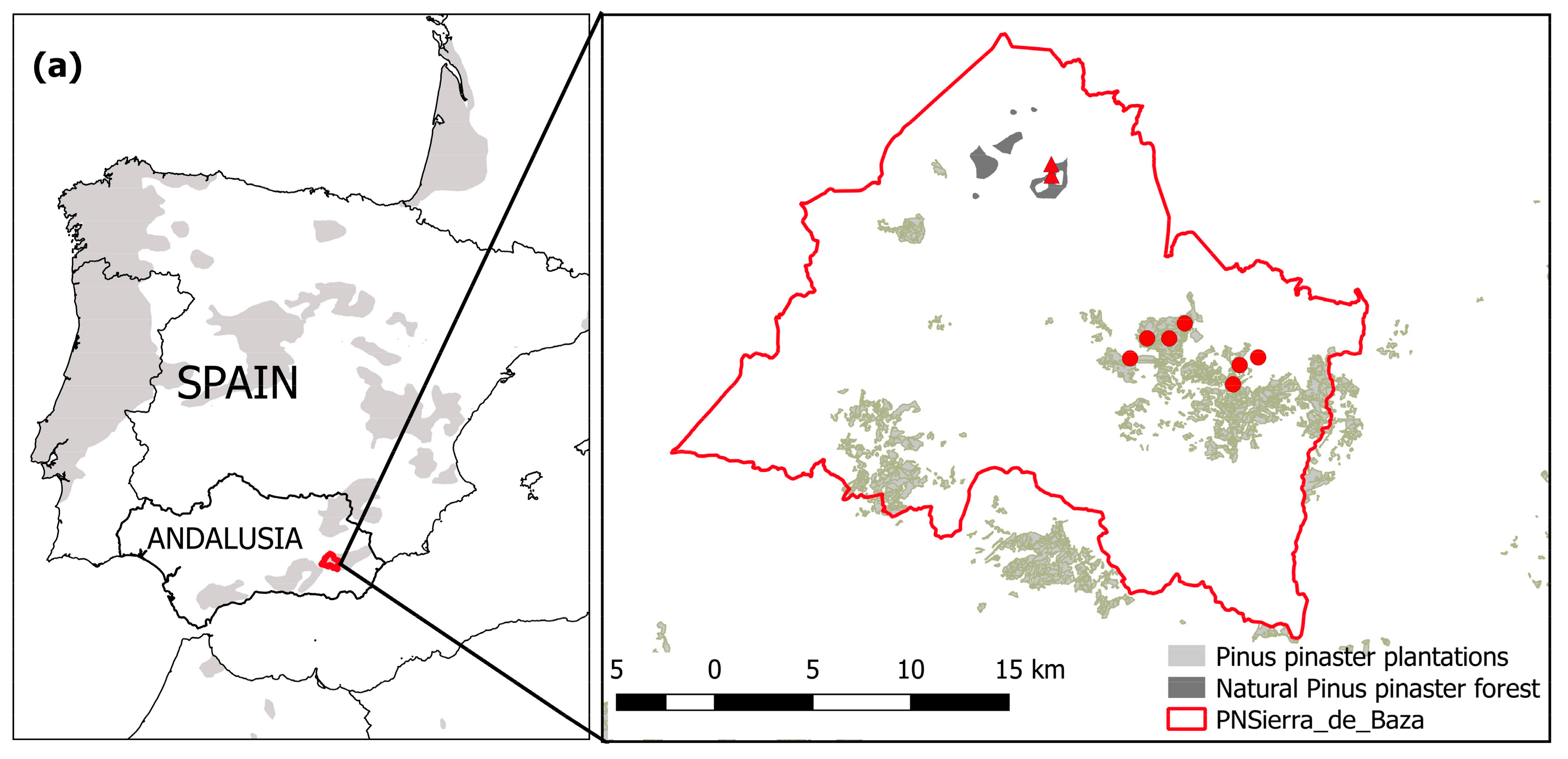 Forests 09 00358 g001a